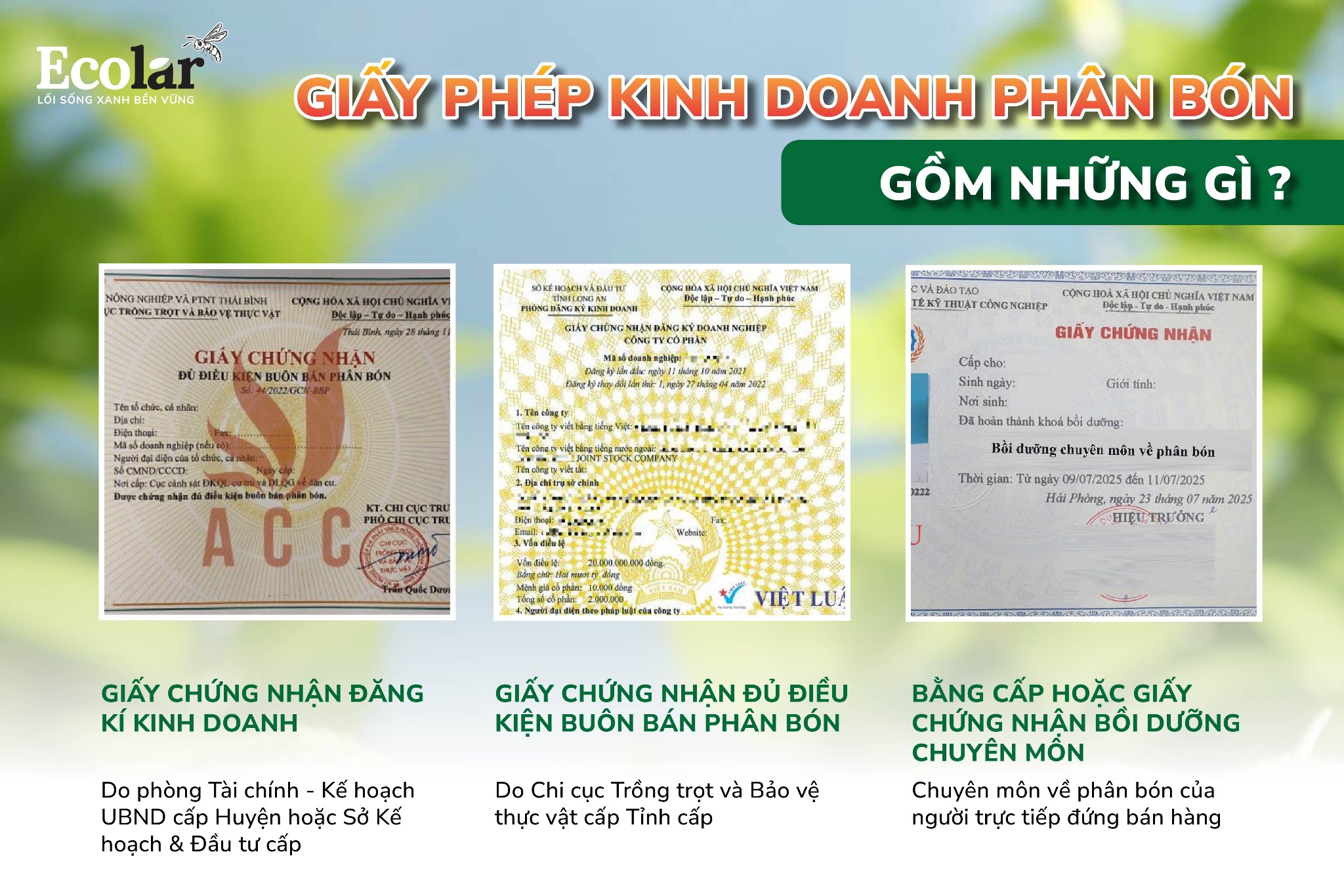 giấy phép kinh doanh