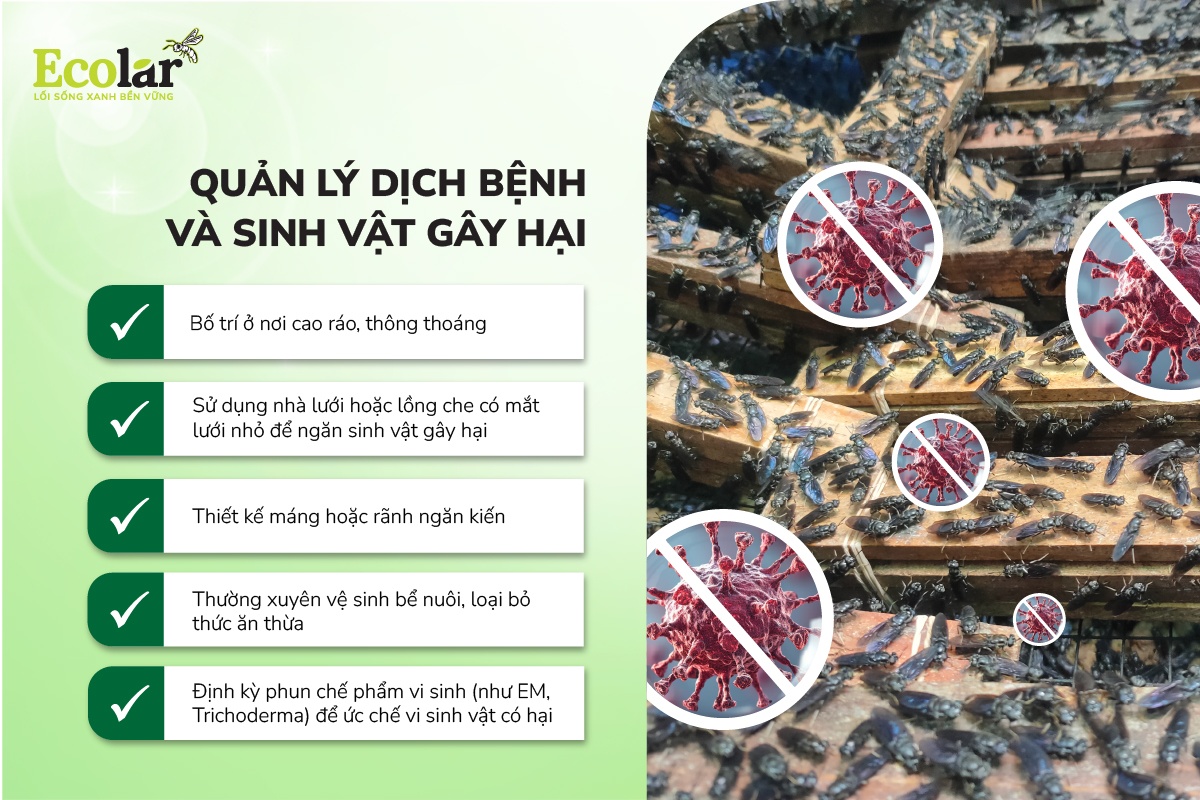 Quản lý dịch bệnh và sinh vật gây hại