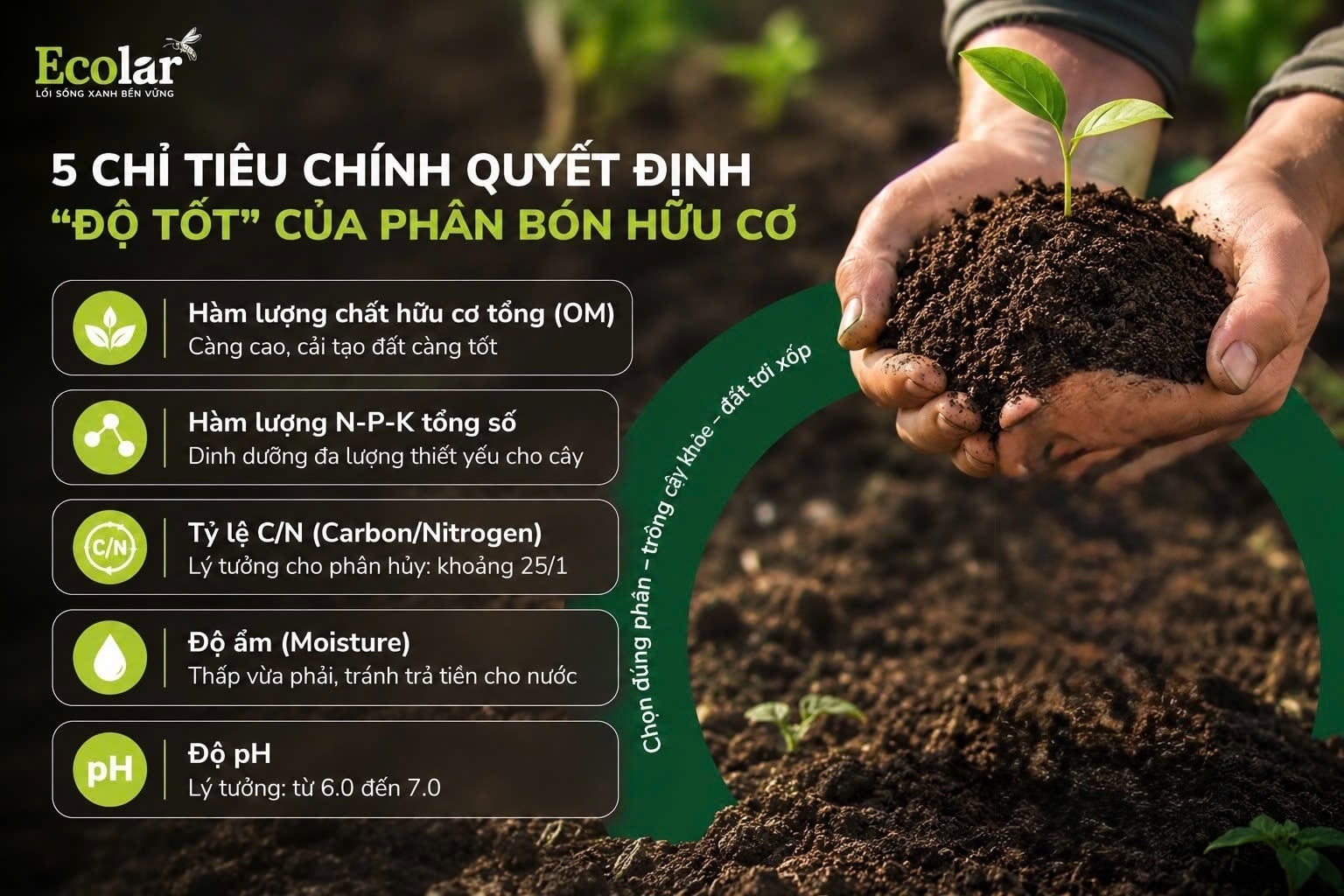 Nhóm 1: Các Chỉ Tiêu Chính Quyết Định 'Độ Tốt' Của Phân Bón Hữu Cơ
