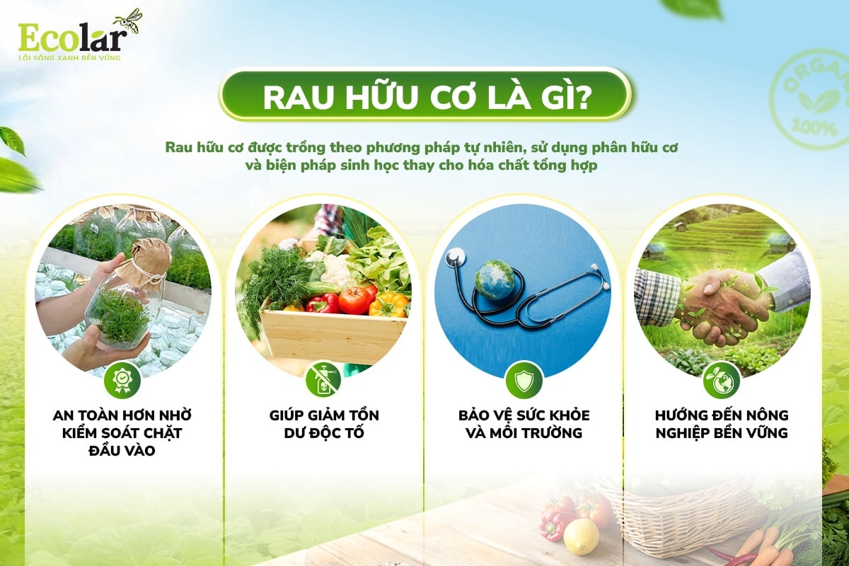 rau hữu cơ