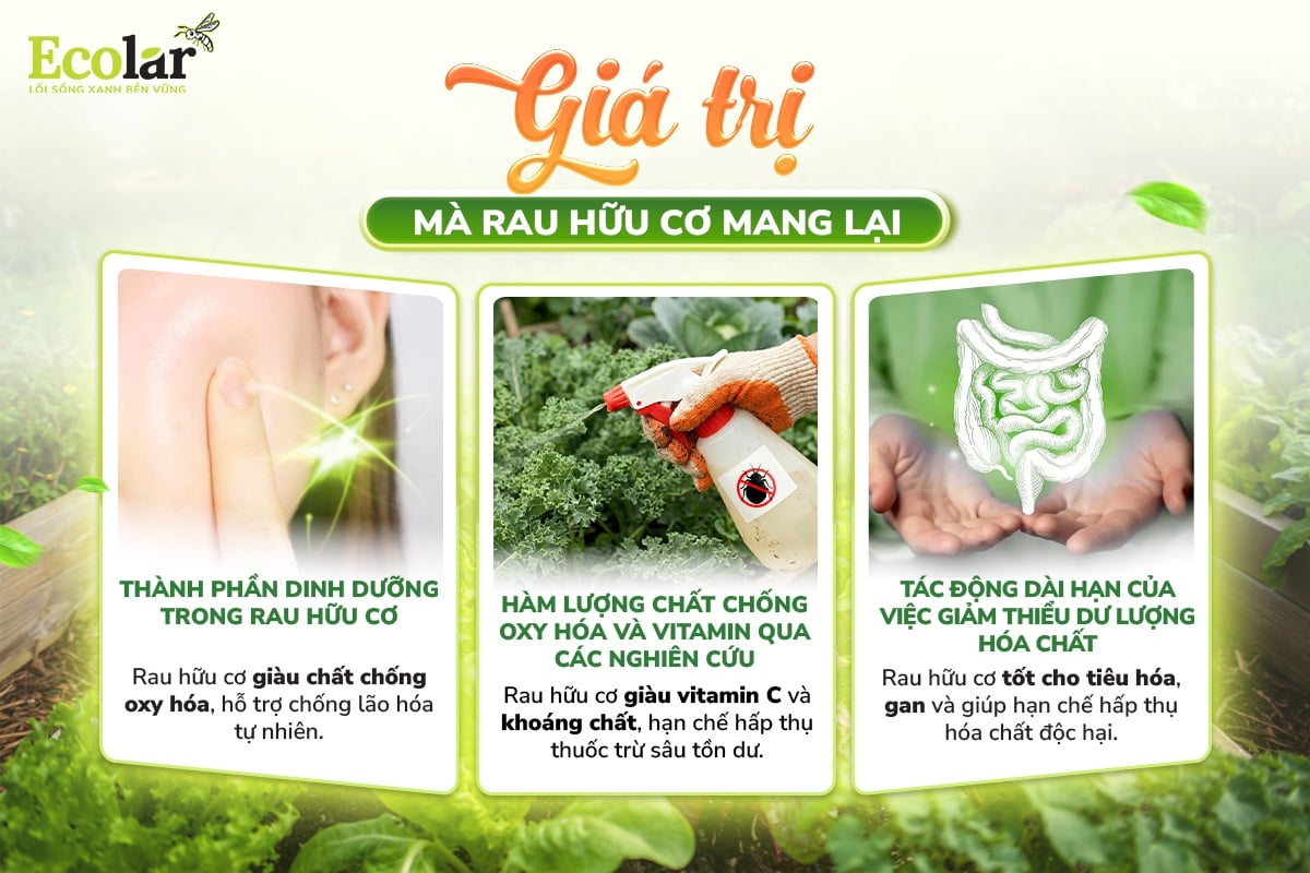 rau hữu cơ