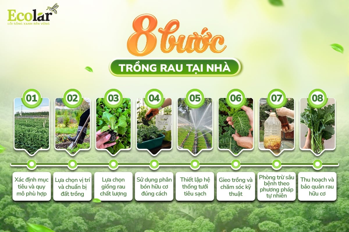 rau hữu cơ