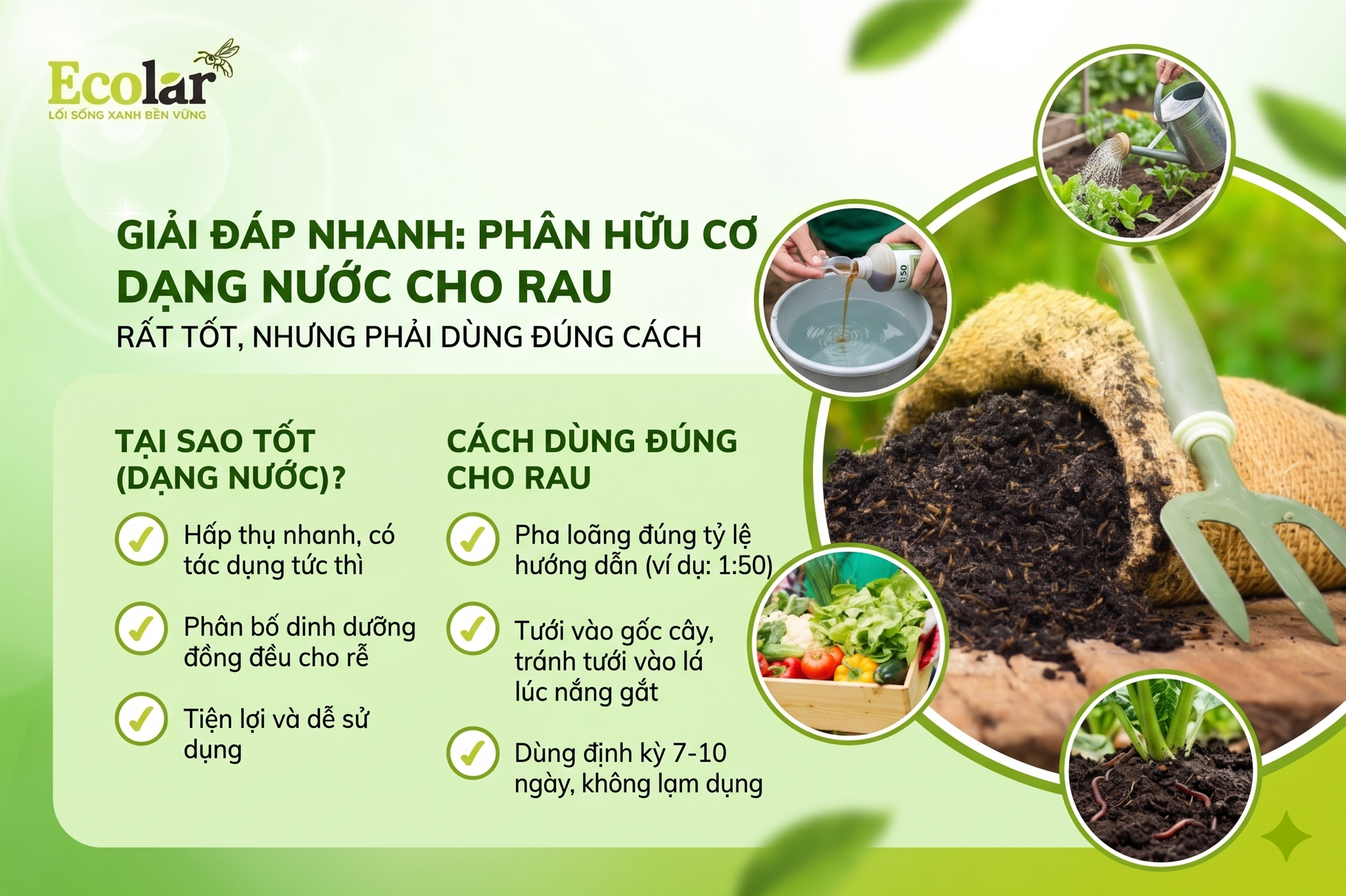 Phân Hữu Cơ Dạng Nước Cho Rau - Rất Tốt, Nhưng Phải Dùng Đúng Cách
