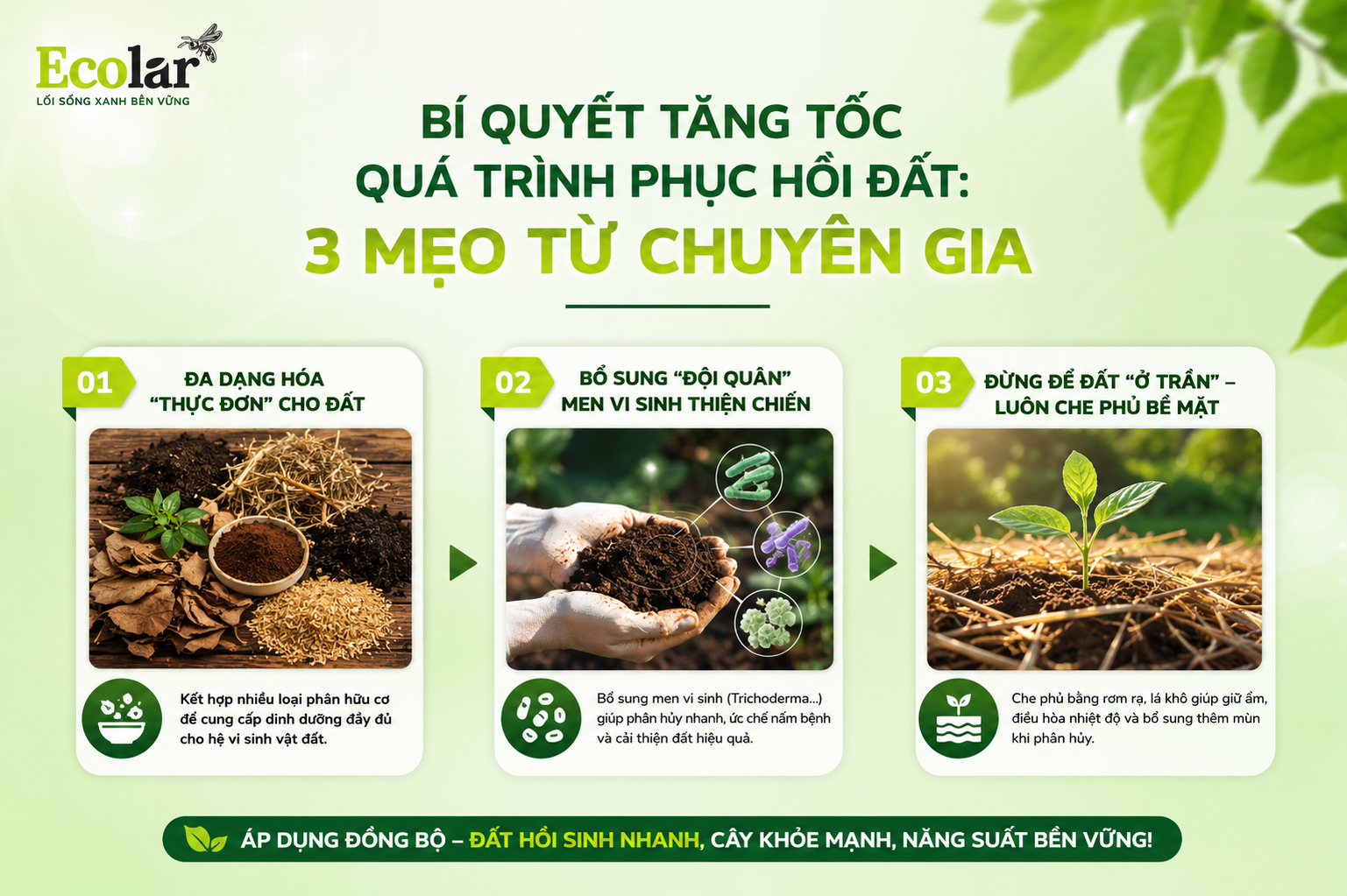 Bí Quyết Tăng Tốc Quá Trình Phục Hồi Đất: 3 Mẹo Từ Chuyên Gia