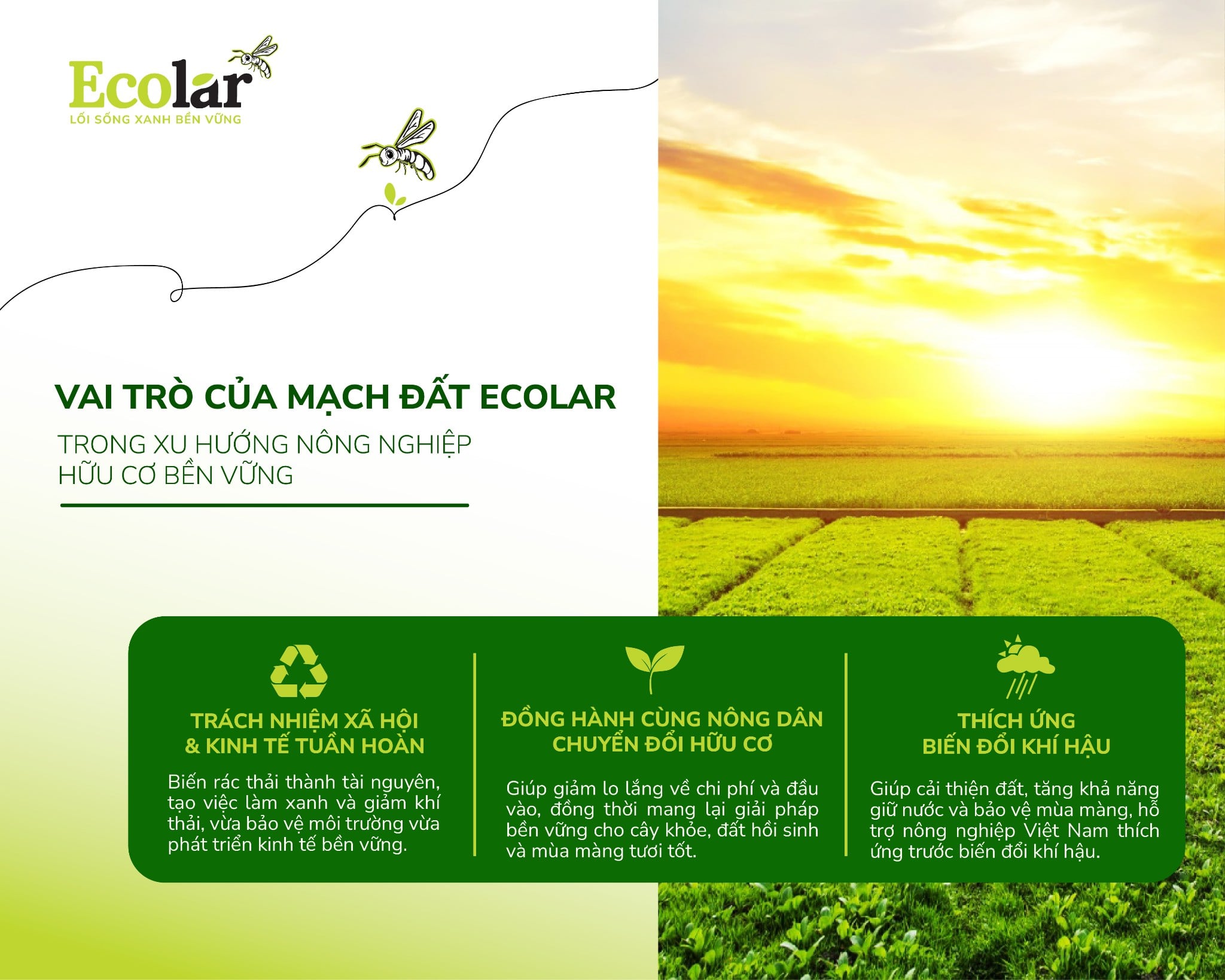Vai trò của Mạch Đất Ecolar trong xu hướng nông nghiệp hữu cơ, bền vững