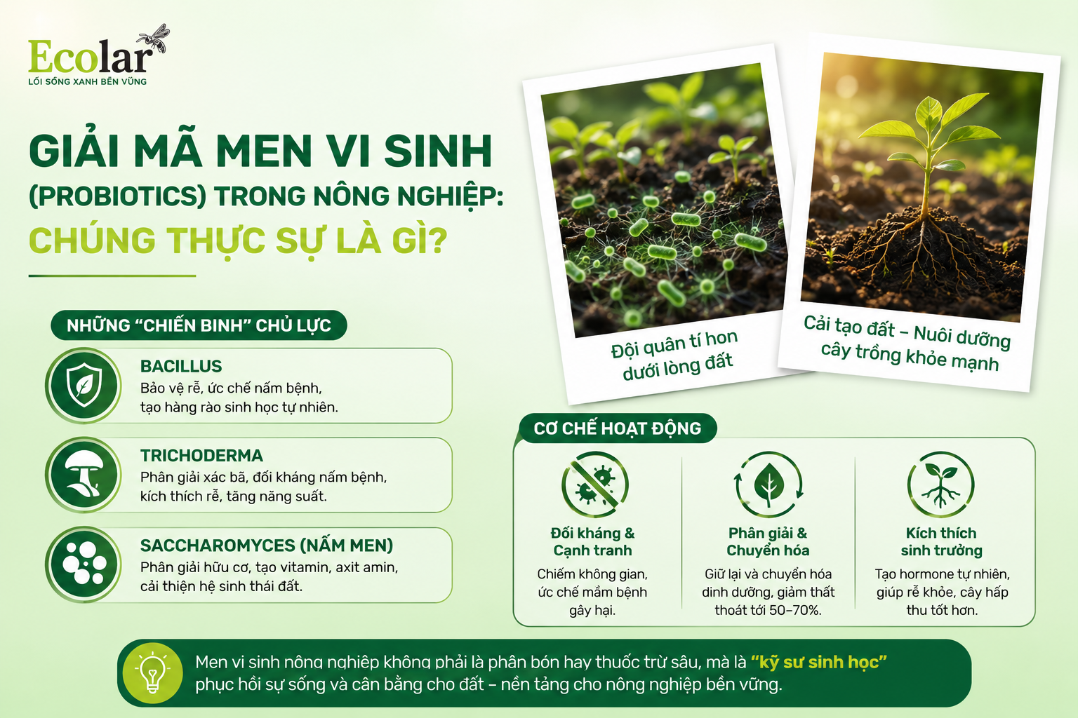 Giải Mã Men Vi Sinh (Probiotics) Trong Nông Nghiệp: Chúng Thực Sự Là Gì?