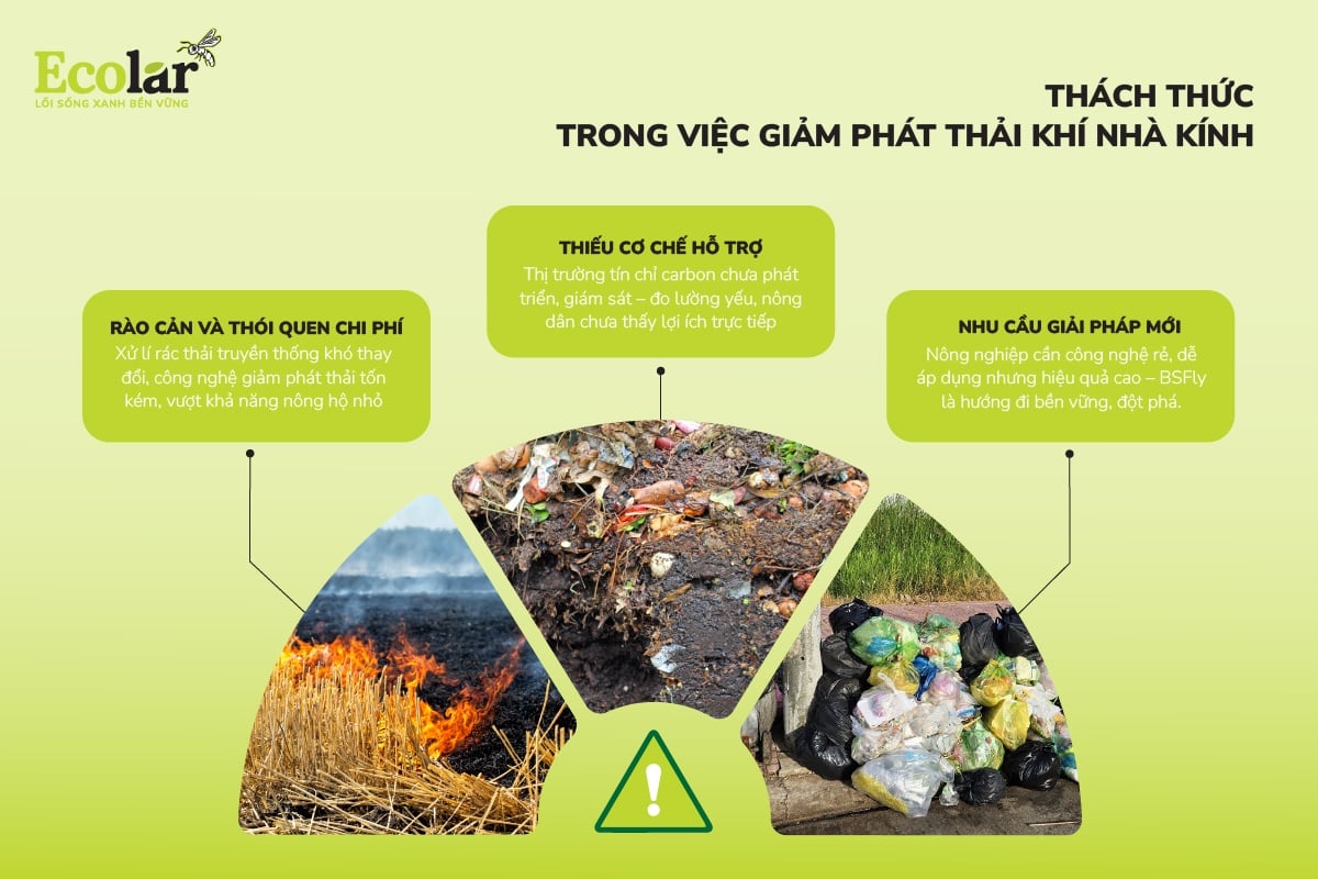 Thách thức trong việc giảm phát thải khí nhà kính