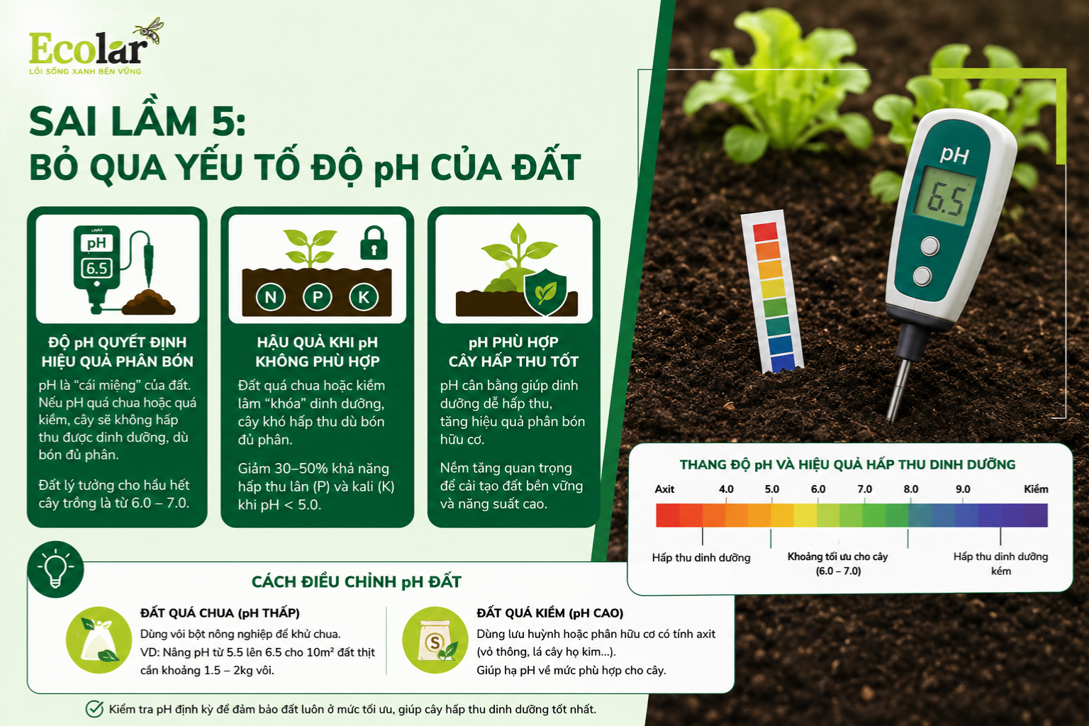 Sai lầm 5: Bỏ Qua Yếu Tố Độ pH Của Đất