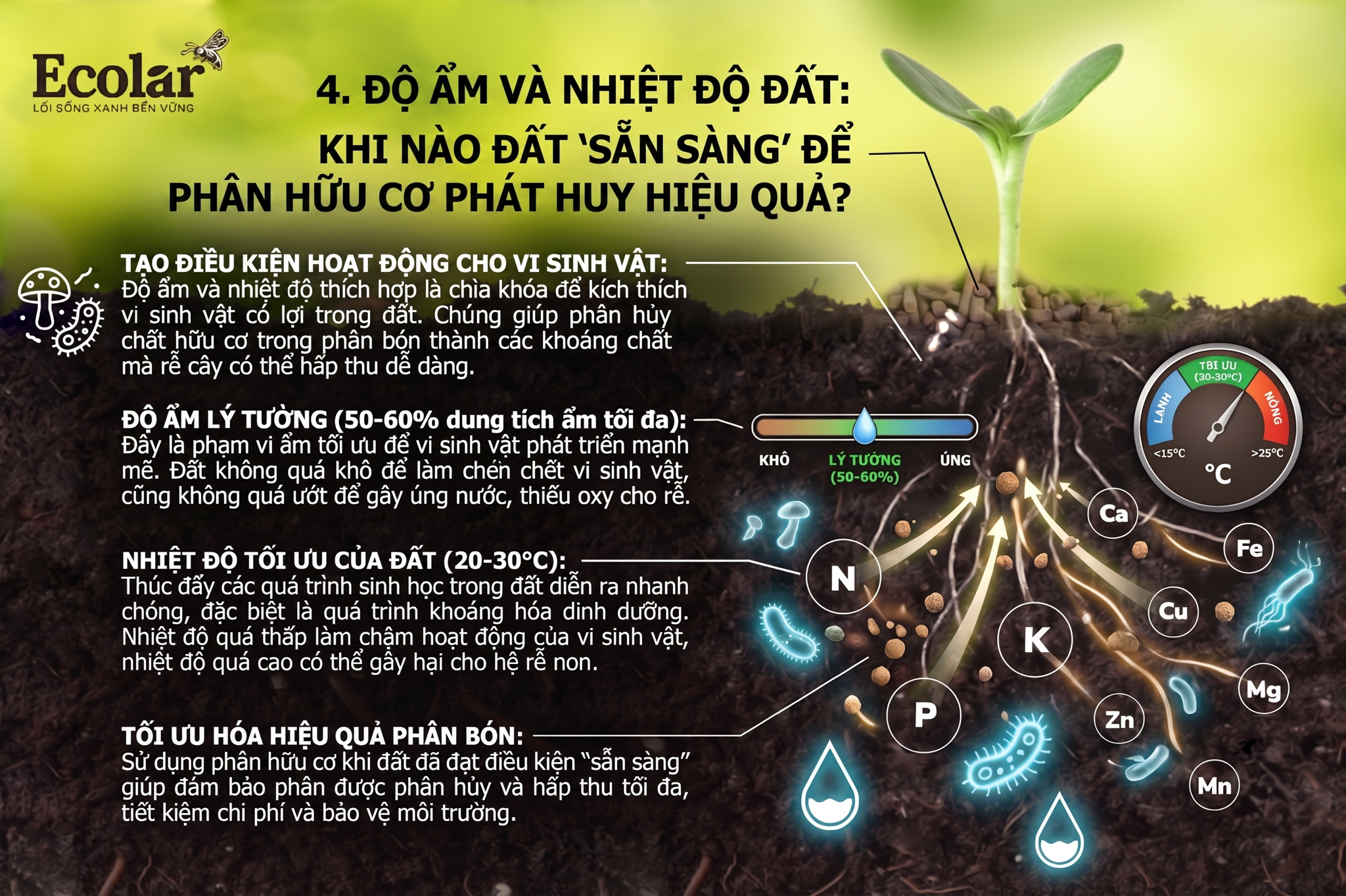 Độ ẩm và nhiệt độ đất: Khi nào đất 'sẵn sàng' để phân hữu cơ phát huy hiệu quả?