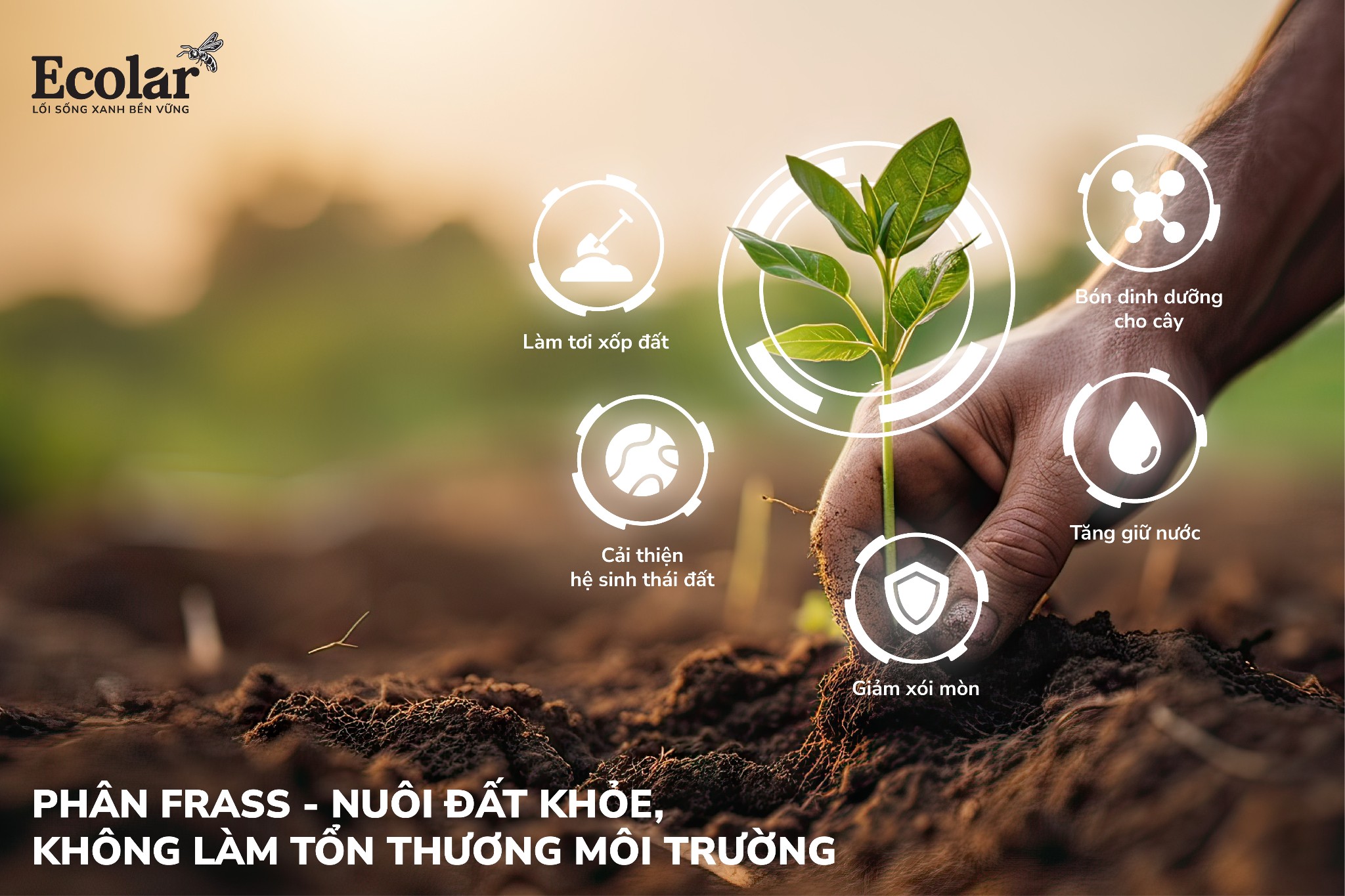 Phân frass – nuôi đất khỏe, không làm tổn thương môi trường