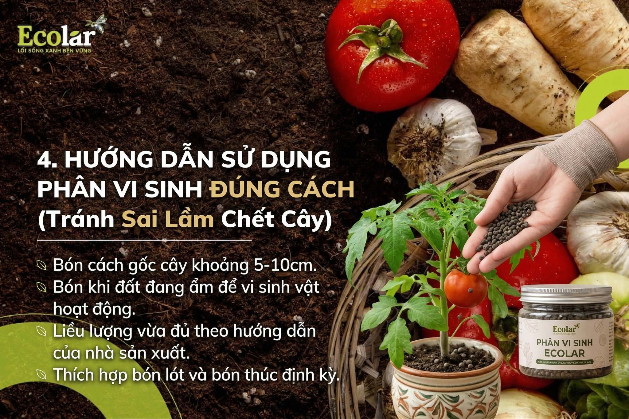 Hướng Dẫn Sử Dụng Phân Vi Sinh Đúng Cách (Tránh Sai Lầm Chết Cây)