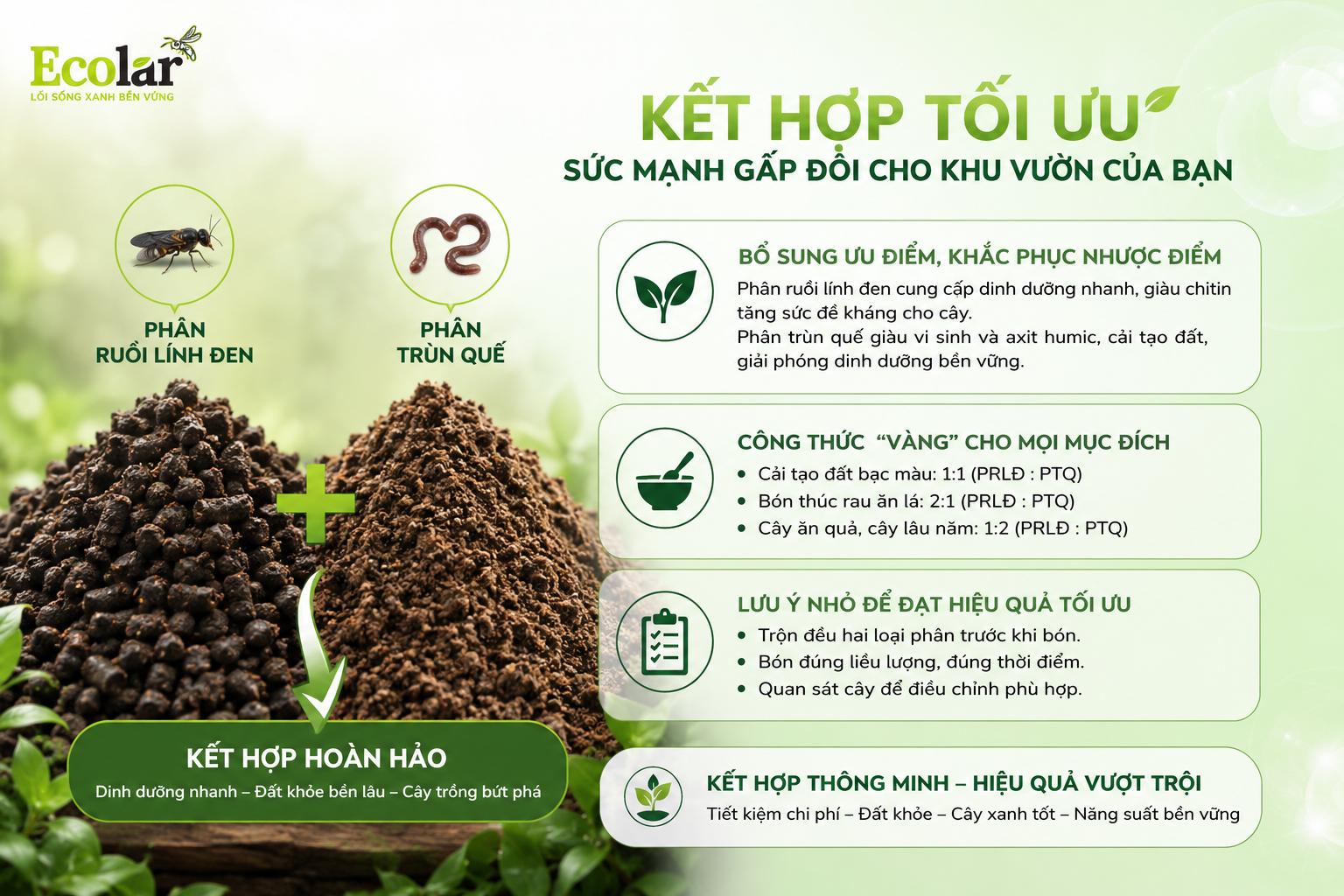 Đặt Lên Bàn Cân: So Sánh Toàn Diện 6 Yếu Tố Quyết Định