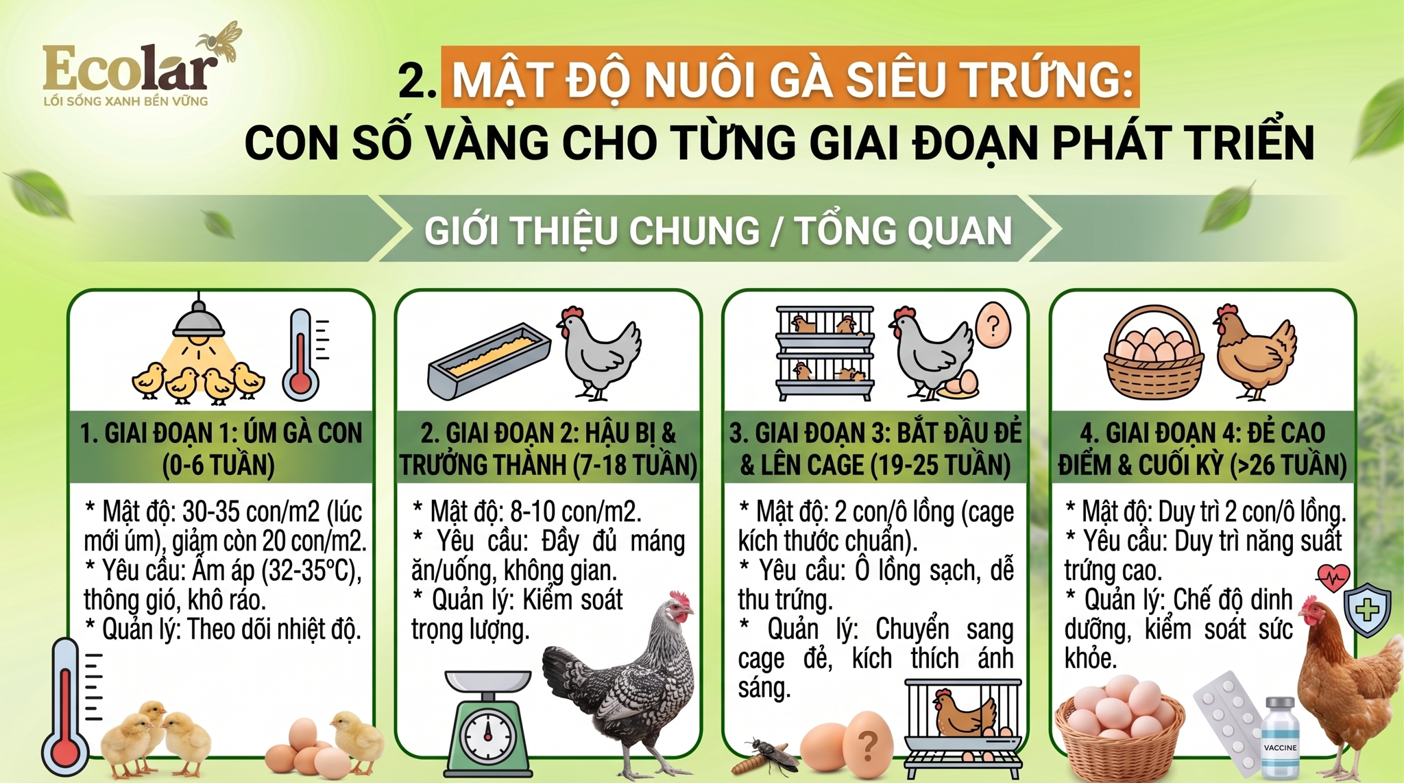 Con Số Vàng Cho Từng Giai Đoạn Phát Triển