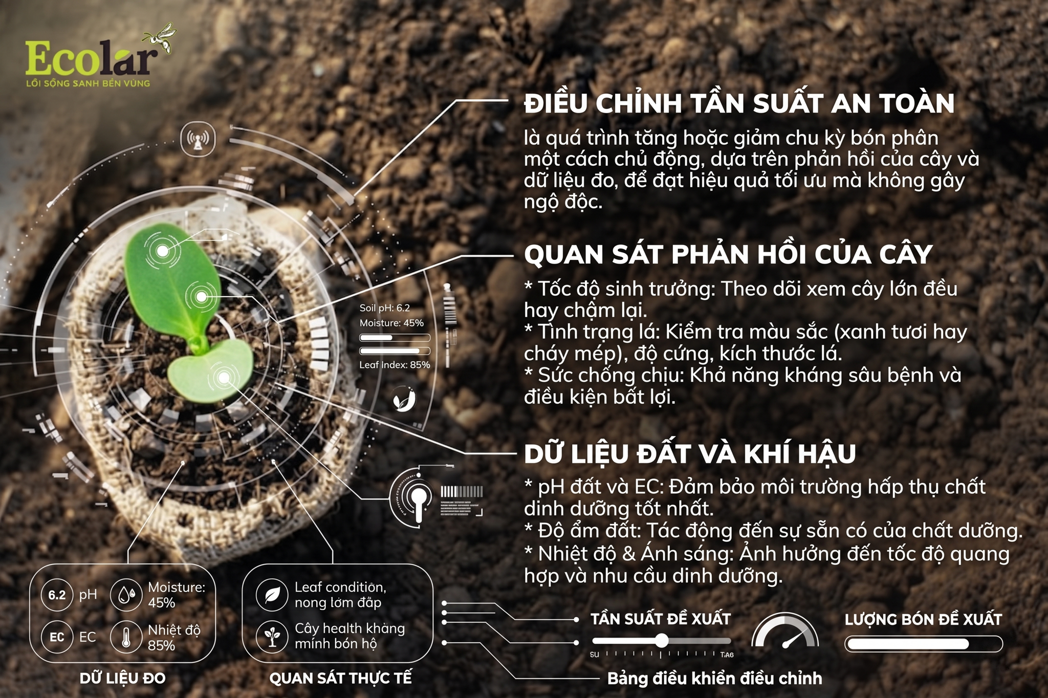 Cách điều chỉnh tần suất an toàn theo quan sát và dữ liệu