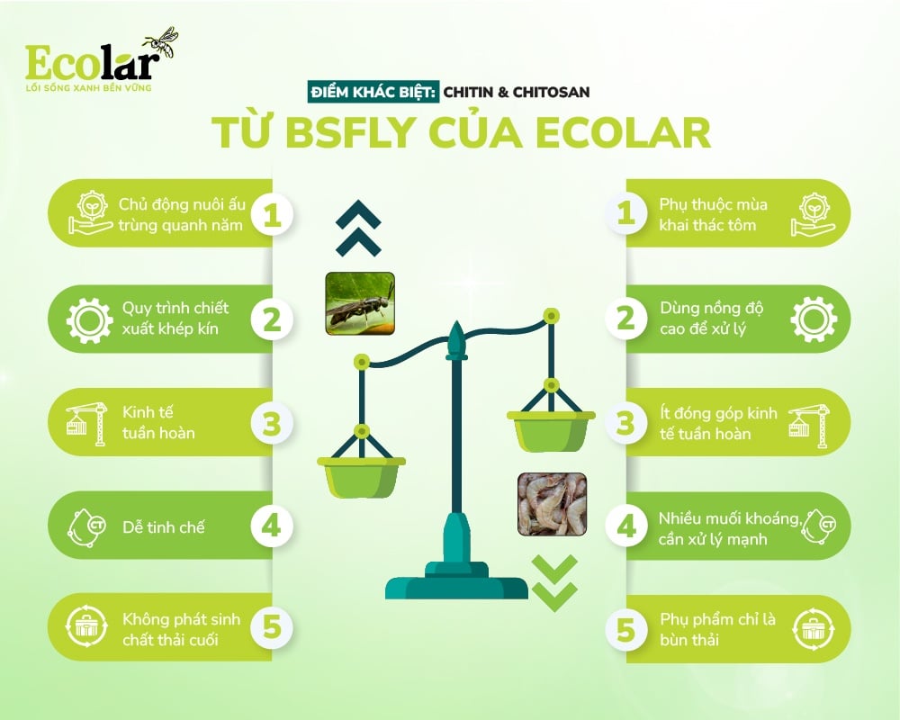 diem-dac-biet-chitin-chitosan-tu-BSFLY-cua-ecolar