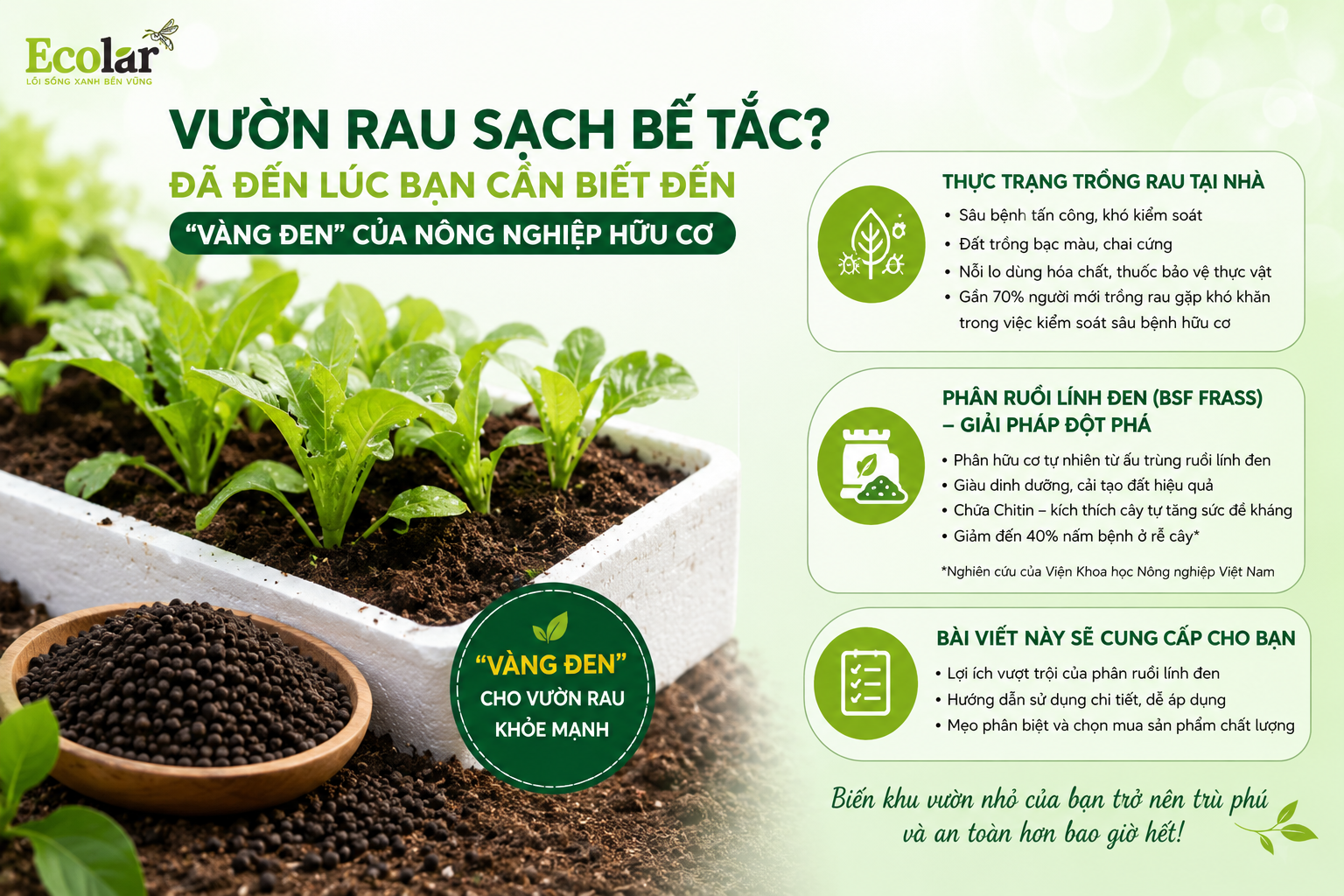 Vườn Rau Sạch Bế Tắc? Đã Đến Lúc Bạn Cần Biết Đến 'Vàng Đen' Của Nông Nghiệp Hữu Cơ