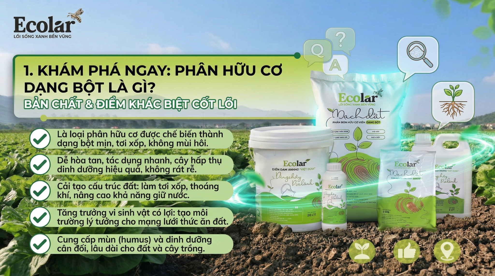Định Nghĩa Đơn Giản & Khác Biệt Chính