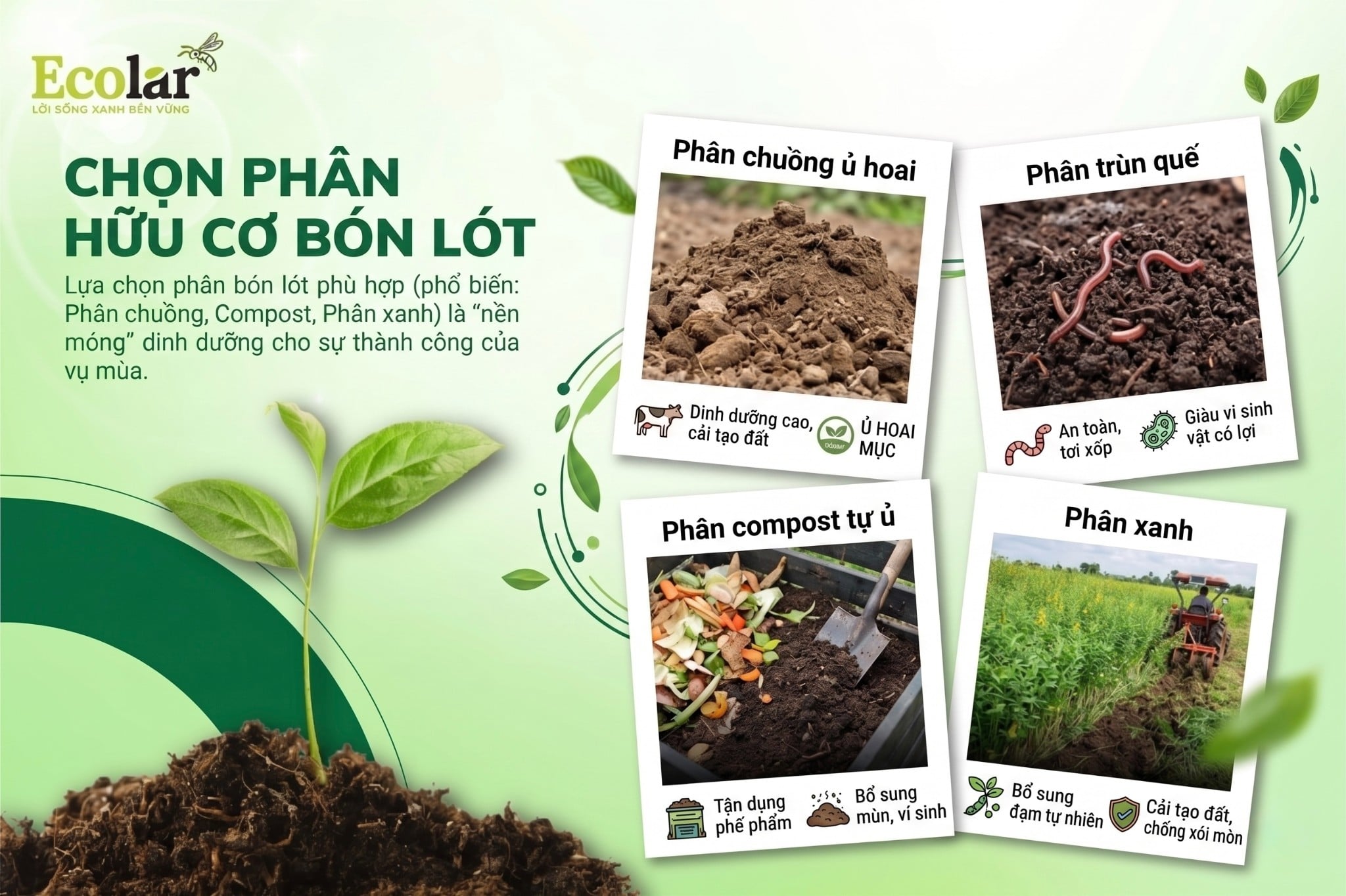 Chọn Đúng Loại Phân Bón Hữu Cơ Để Bón Lót: Không Phải Loại Nào Cũng Giống Nhau