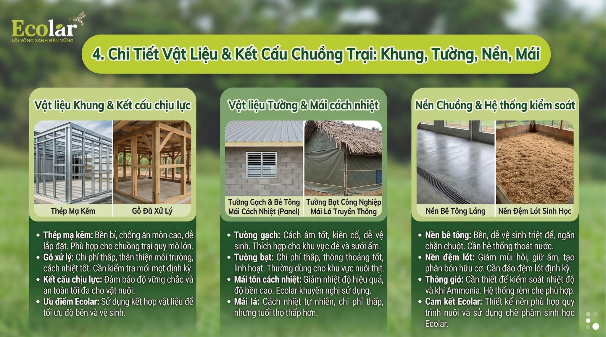 t-lieu-va-ket-cau-khung-tuong-nen-mai_830b0ad3b4c84b7787484ca7c47540ae.png