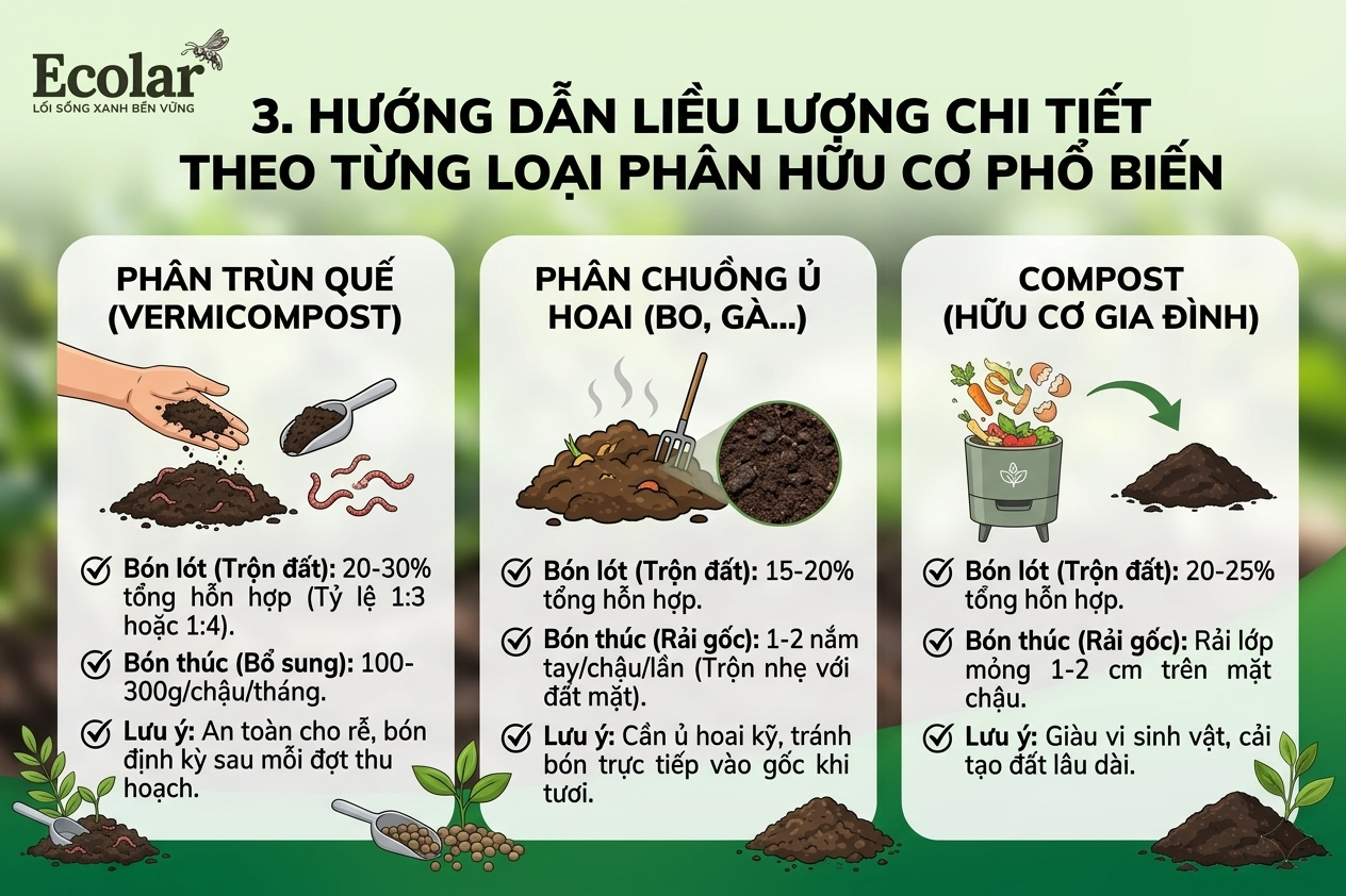 Hướng Dẫn Liều Lượng Chi Tiết Theo Từng Loại Phân Hữu Cơ Phổ Biến