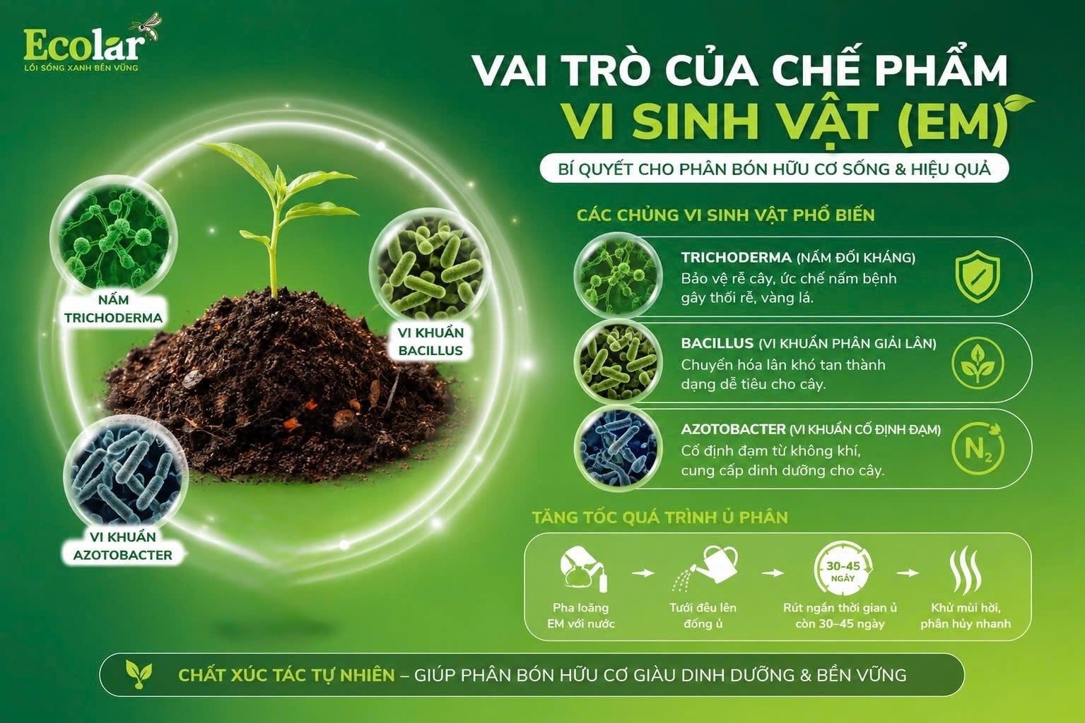 Thành Phần Đặc Biệt: Vai Trò Của Chế Phẩm Vi Sinh Vật (EM)
