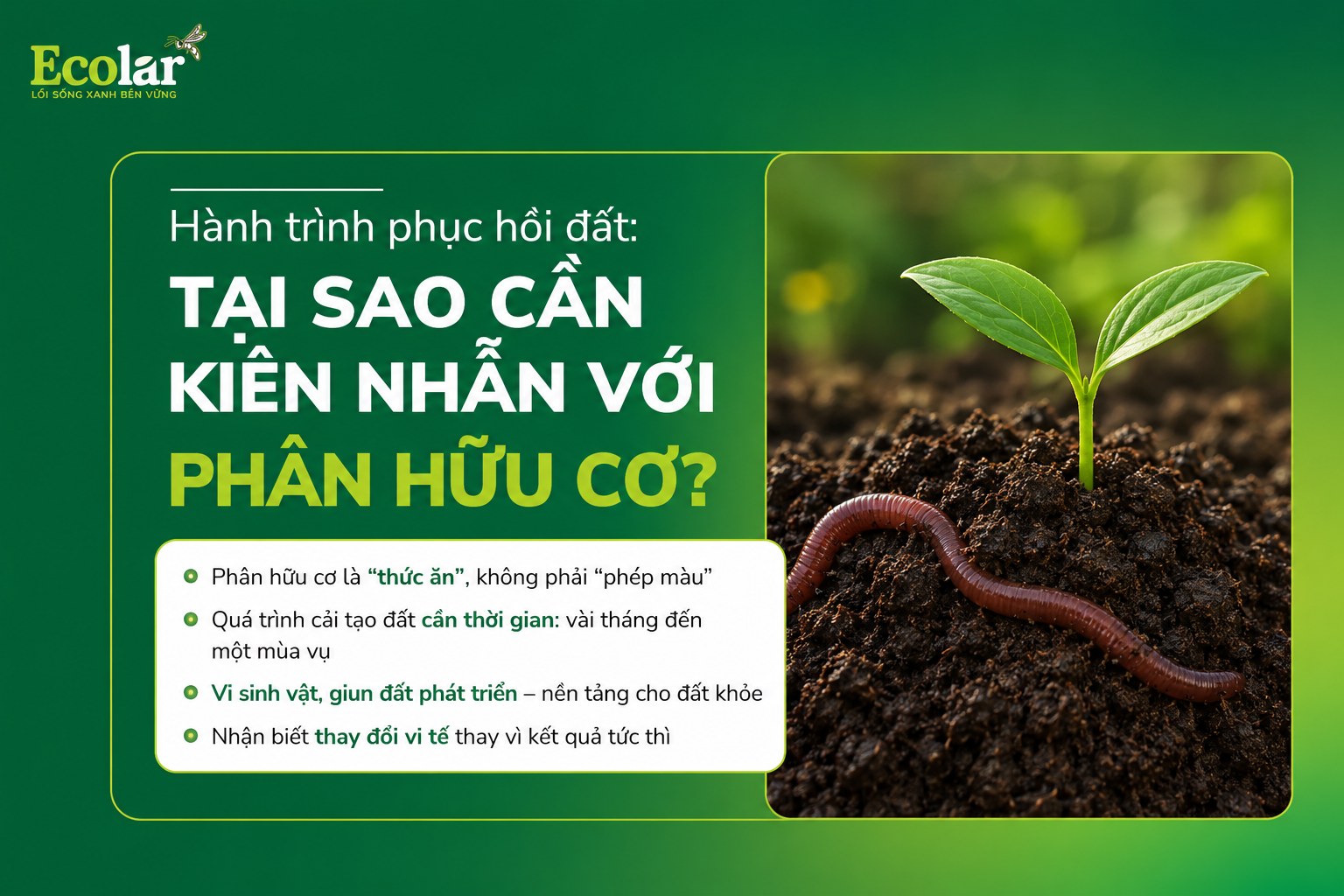 Hành Trình Phục Hồi Đất: Tại Sao Cần Kiên Nhẫn Với Phân Hữu Cơ?