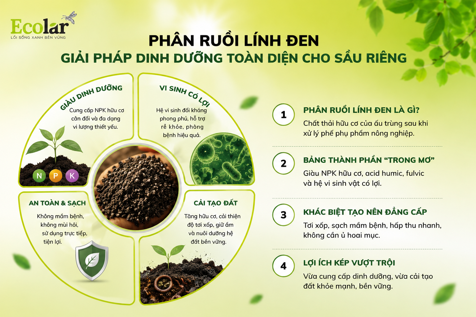 Sầu Riêng & Thách Thức Về Dinh Dưỡng: Tại Sao Nhà Vườn Cần Tìm Hướng Đi Mới?