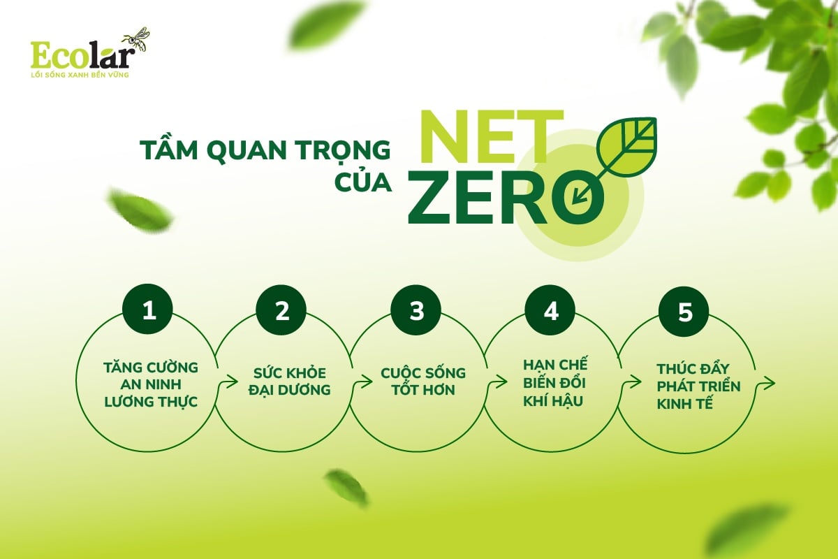 Tầm quan trọng của Net Zero
