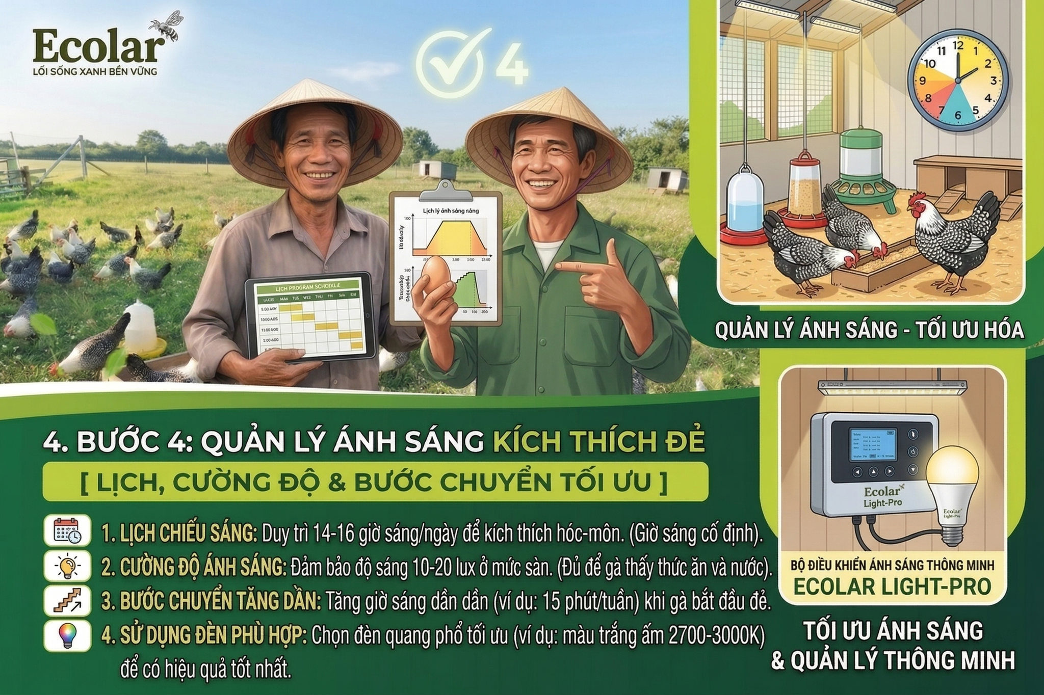 lịch, cường độ và bước chuyển