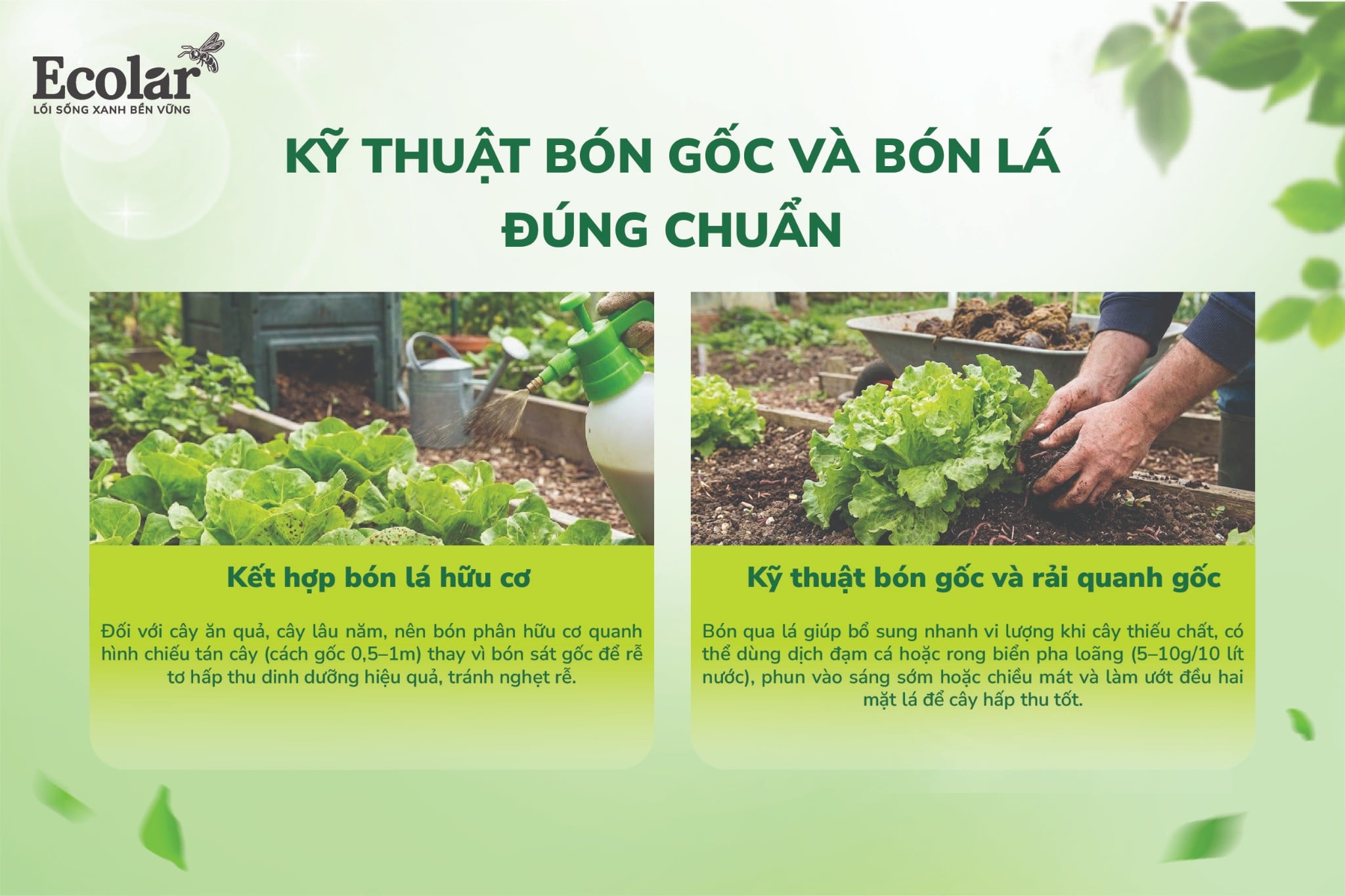 KY-THUAT BON-GOC VA BON-LA DUNG-CHUAN-03