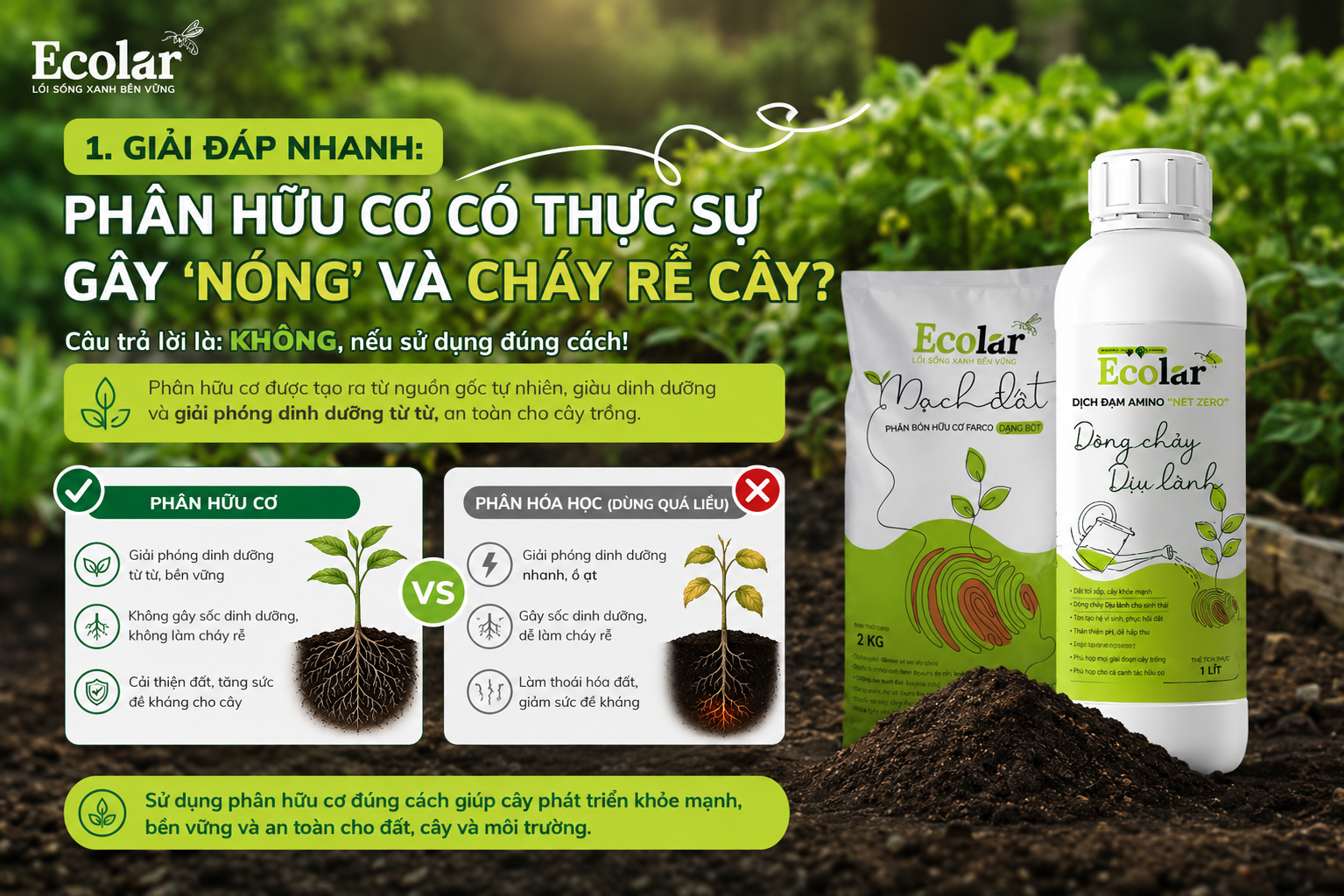 Giải Đáp Nhanh: Phân Hữu Cơ Có Thực Sự Gây 'Nóng' và Cháy Rễ Cây?