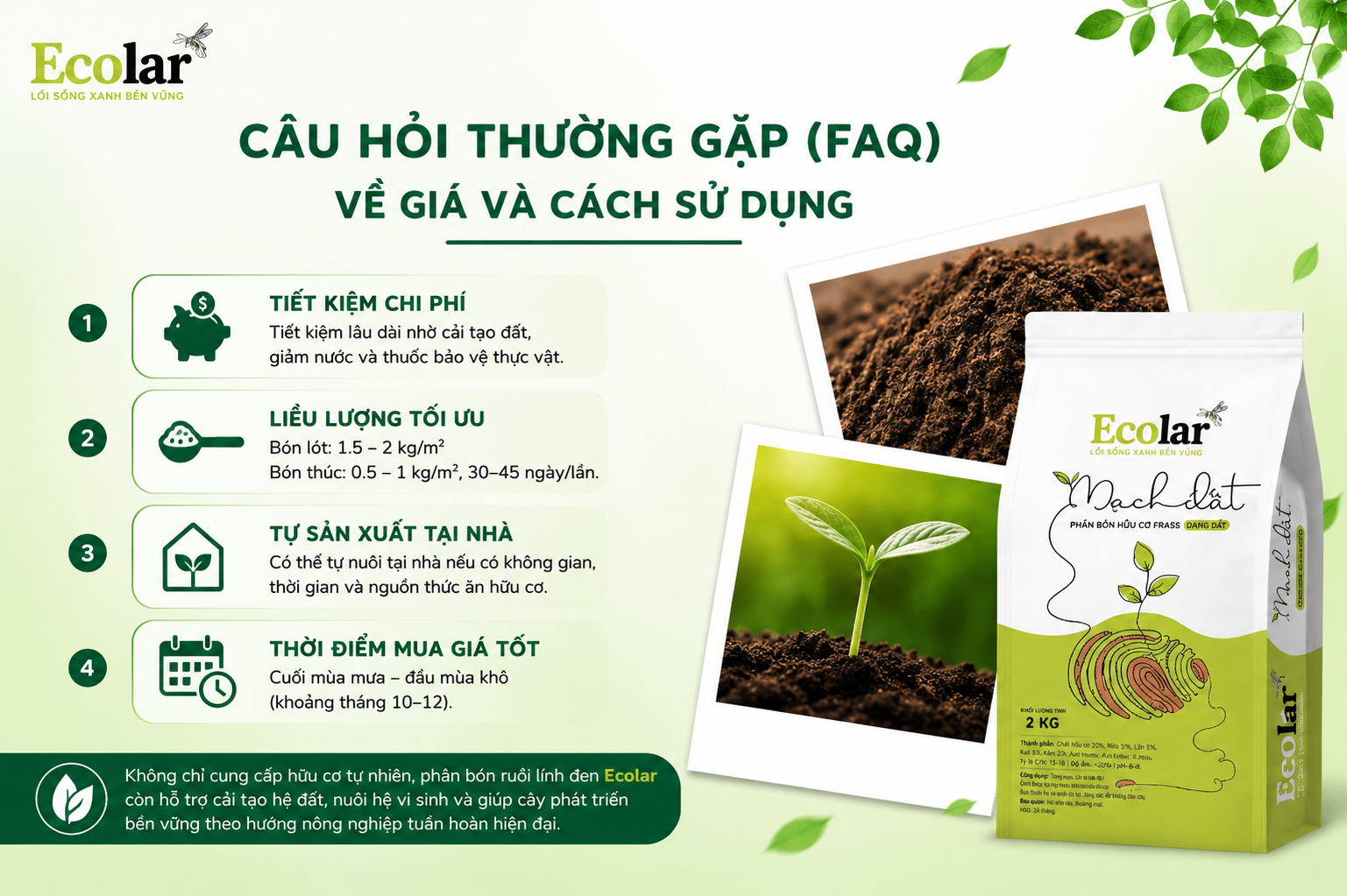 Câu Hỏi Thường Gặp (FAQ) Về Giá và Cách Sử Dụng