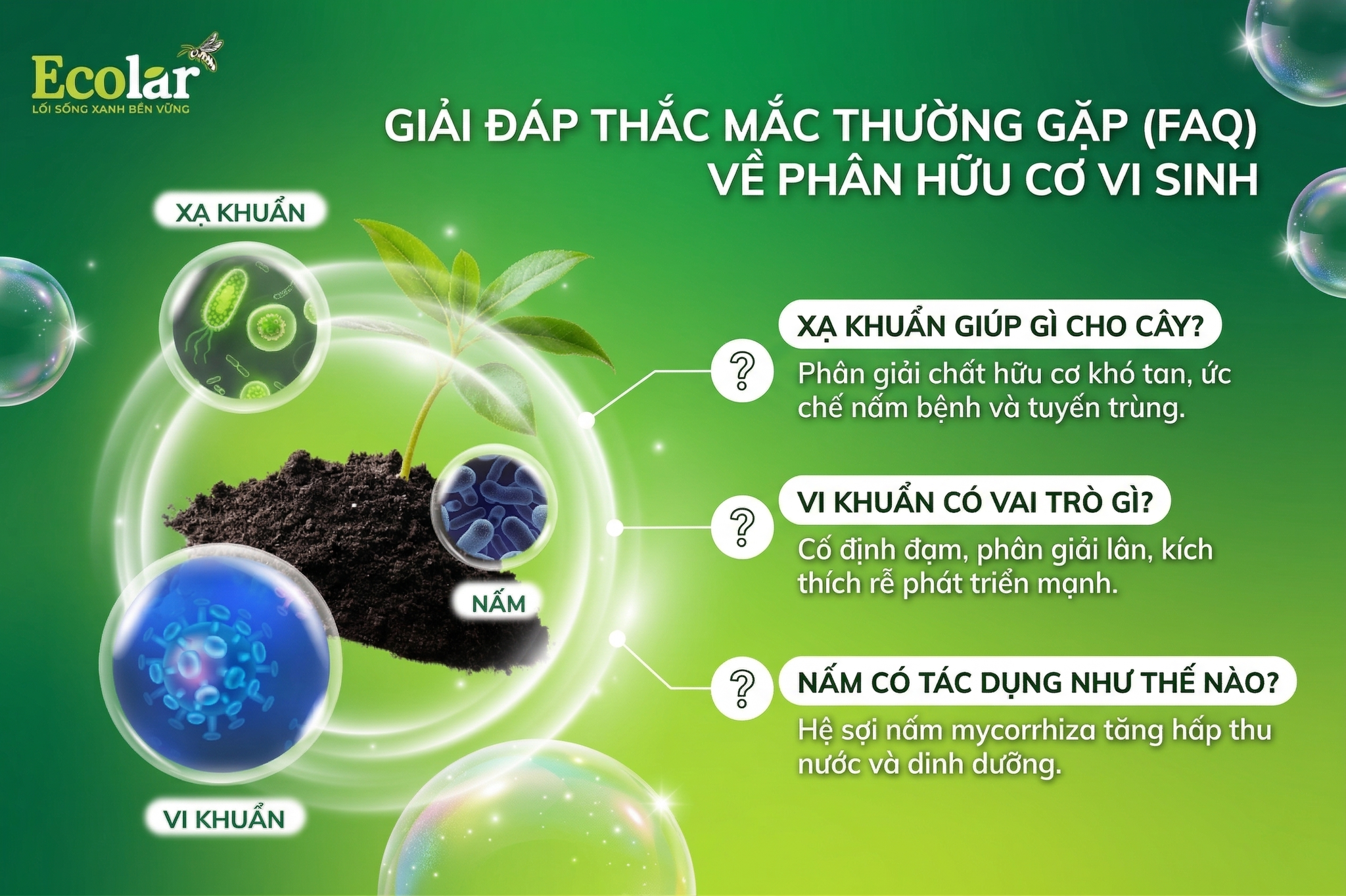 Giải Đáp Thắc Mắc Thường Gặp (FAQ) Về Phân Hữu Cơ Vi Sinh