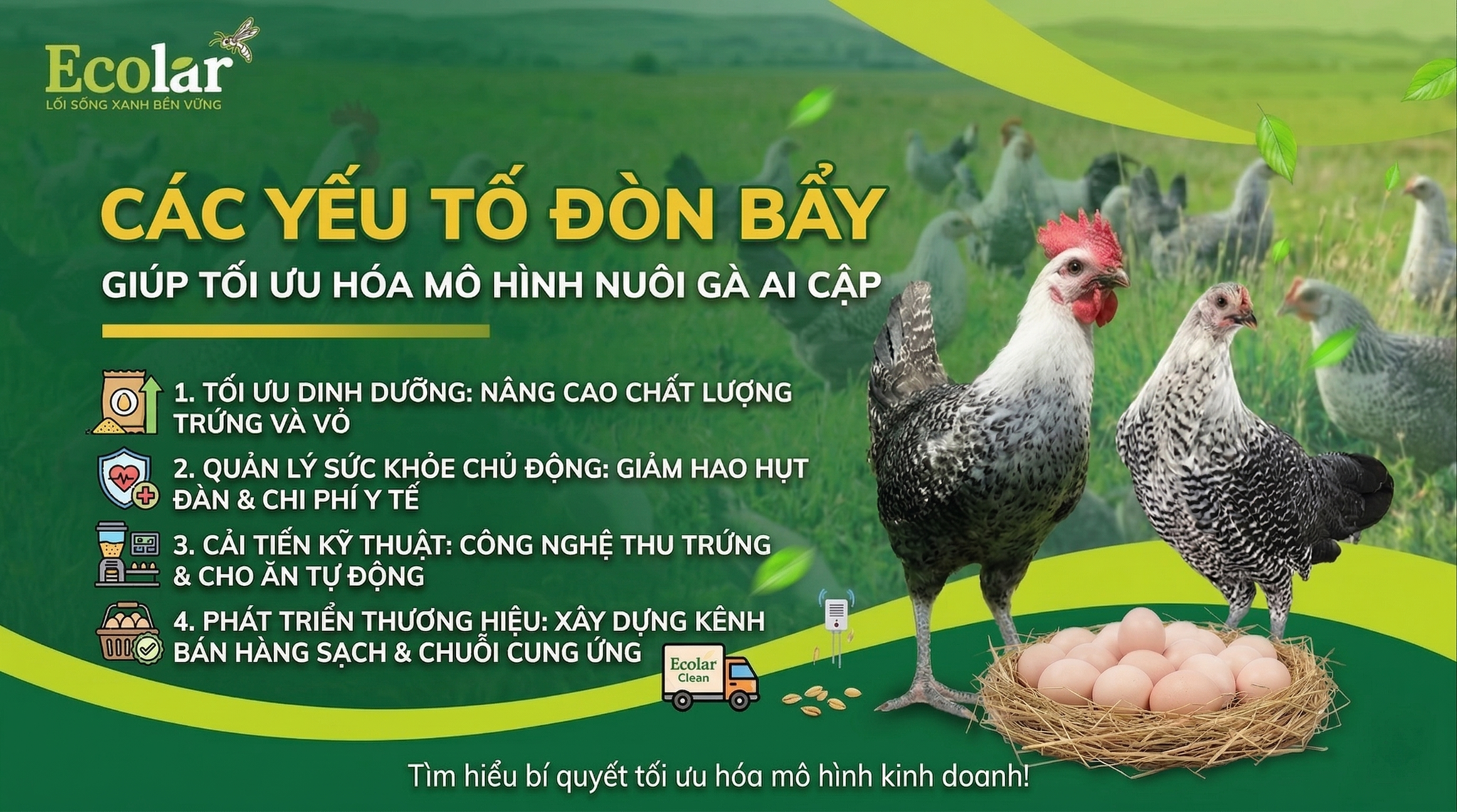 Các Yếu Tố Đòn Bẩy Giúp Tối Ưu Hóa Mô Hình Kinh Doanh Đã Chọn