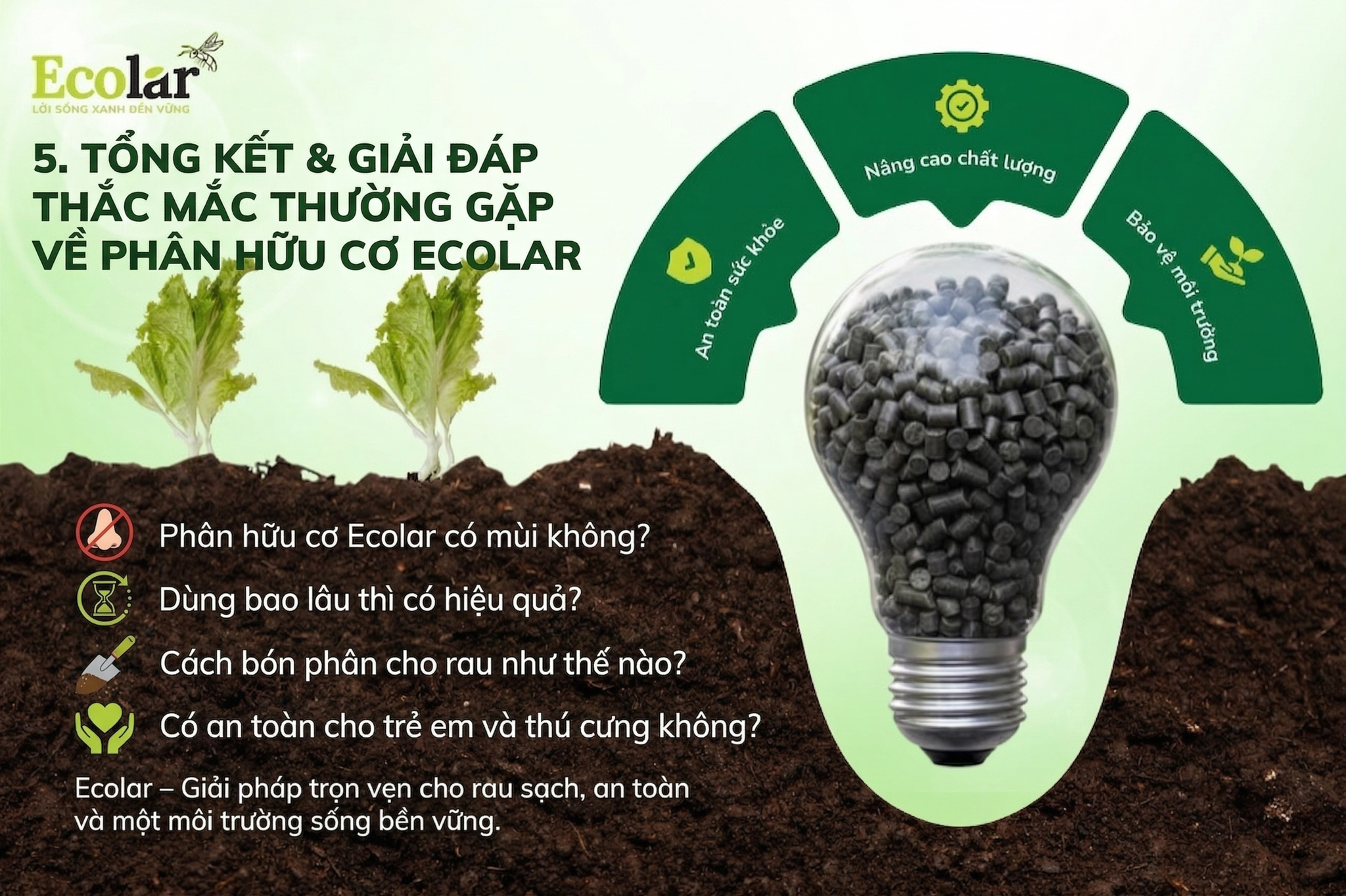 Tổng Kết & Giải Đáp Thắc Mắc Thường Gặp