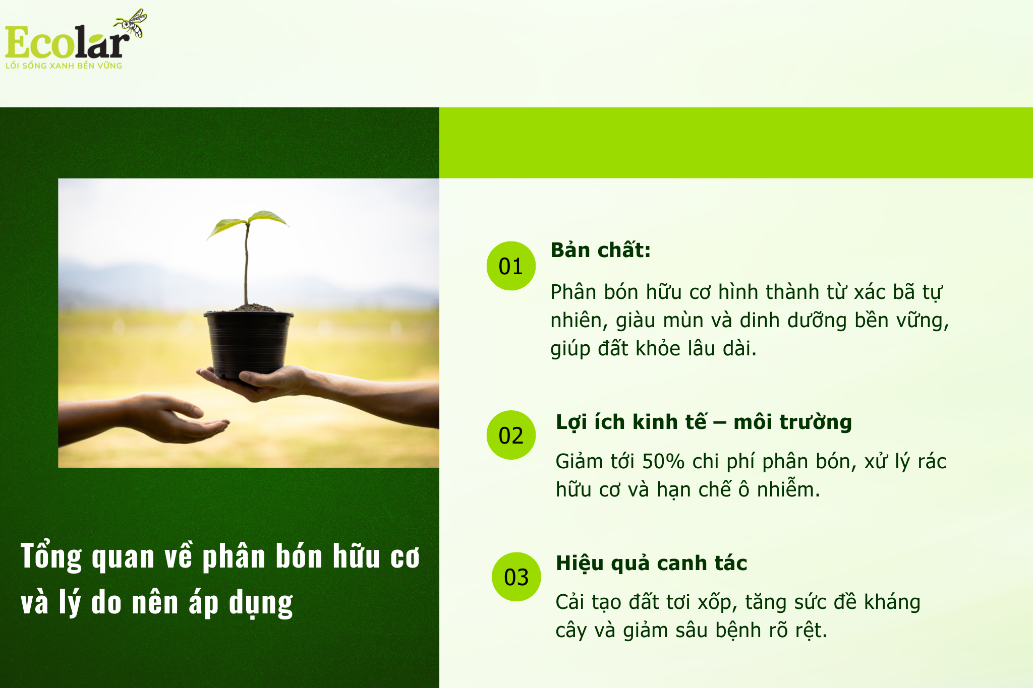 tong quan 9359f9b78be546cb9e65f7464e872233 Bao Bì Ánh Sáng - Chuyên Gia Bao Bì PP Dệt