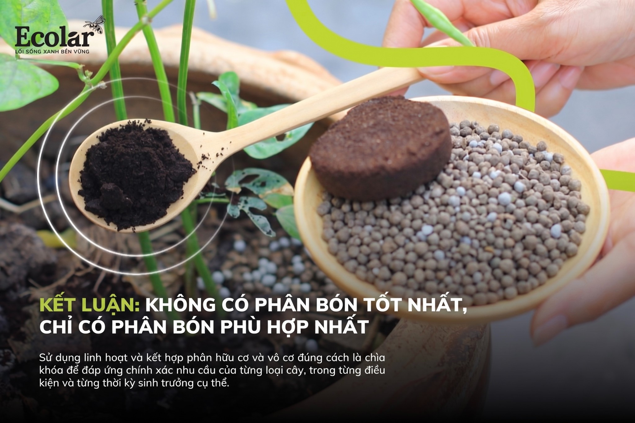 Kết Luận: Không Có Phân Bón Tốt Nhất, Chỉ Có Phân Bón Phù Hợp Nhất