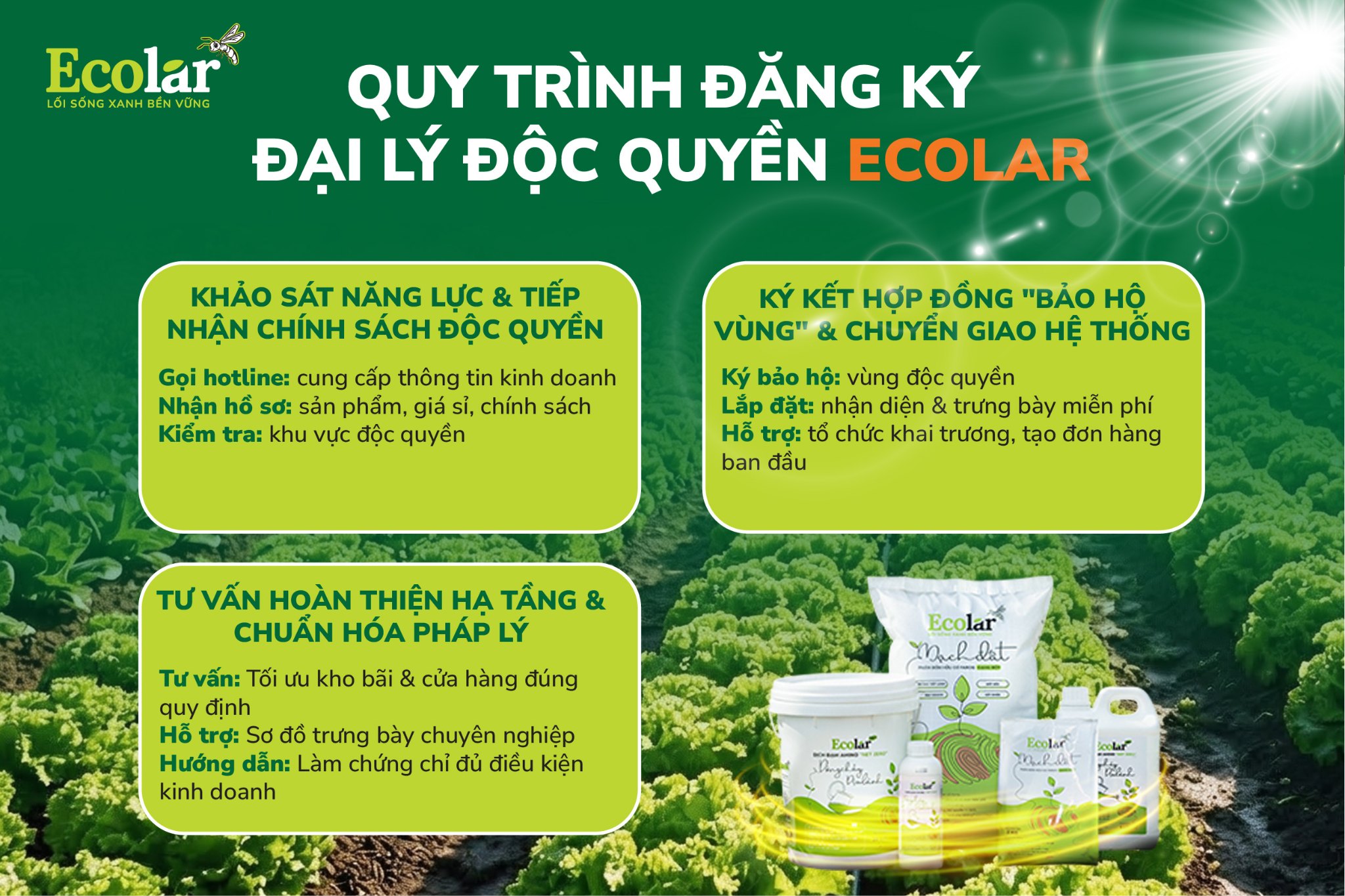 quy trình đk đại lý độc quyền ecolar