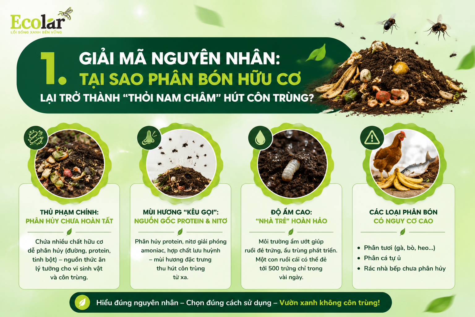 Giải Mã Nguyên Nhân: Tại Sao Phân Bón Hữu Cơ Lại Trở Thành 