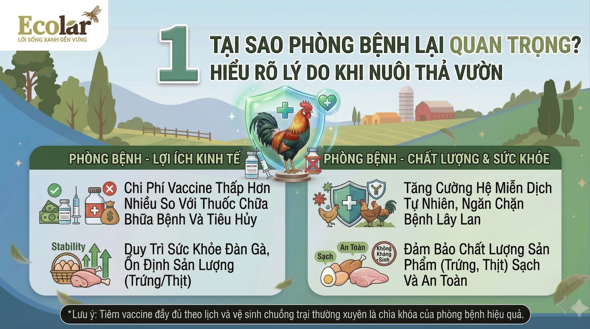 Tại Sao Phòng Bệnh Lại Quan Trọng Hơn Chữa Bệnh Khi Nuôi Thả Vườn?