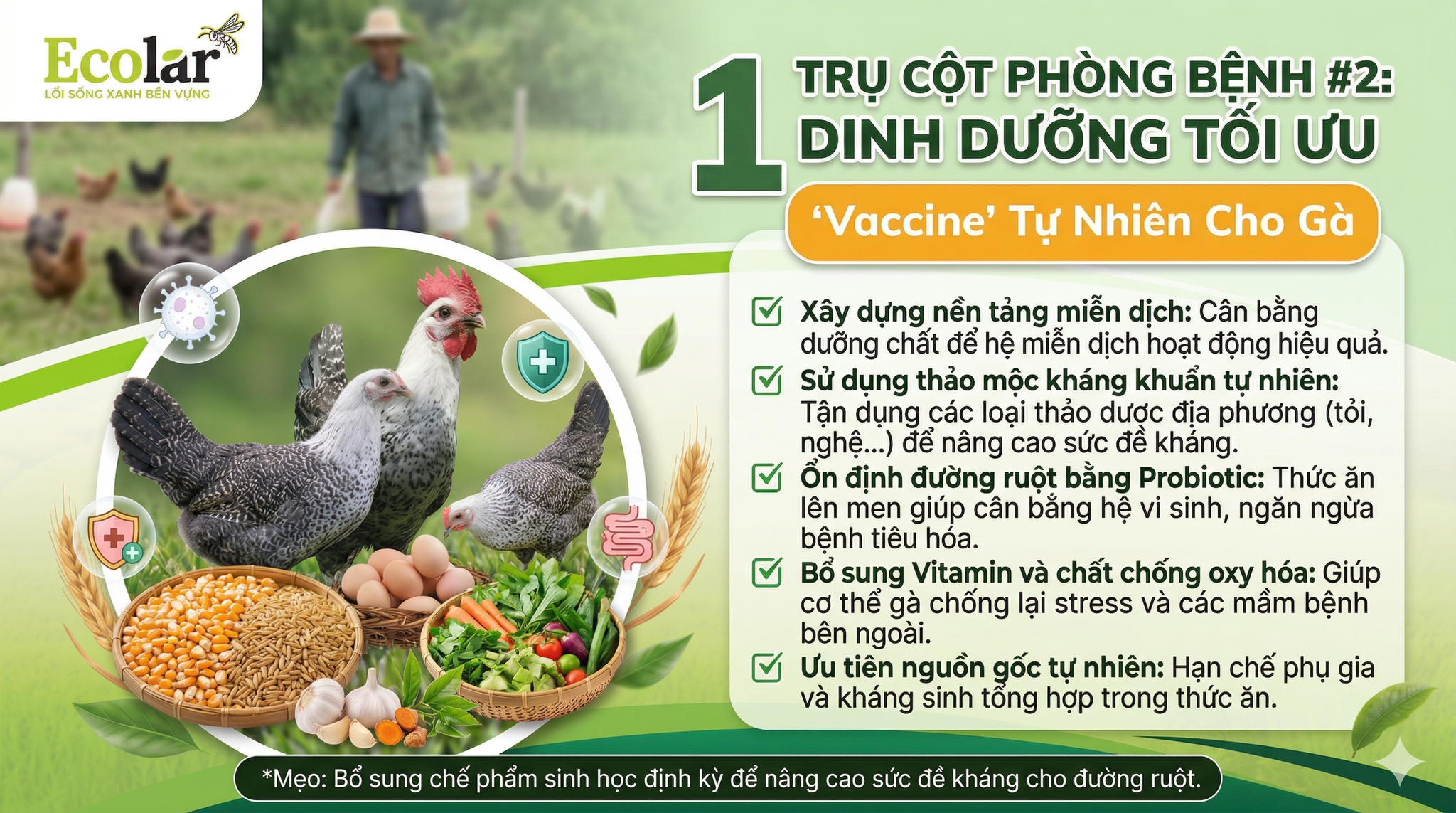 tru-cot-phong-benh-dinh-duong-toi-uu_dd6f9967f4f2419a82a17be396f9bb45.png