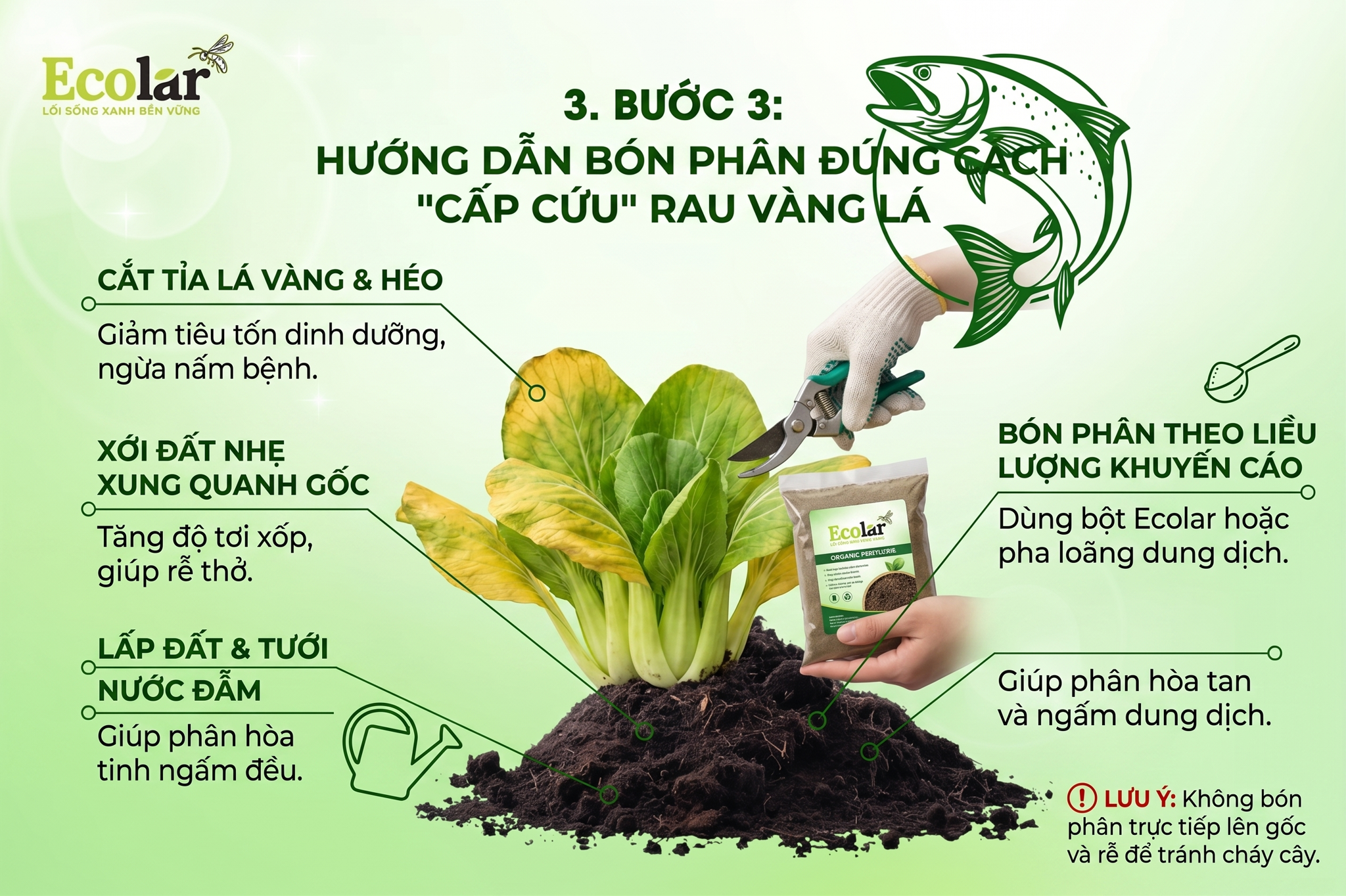 Hướng Dẫn Bón Phân Hữu Cơ Đúng Cách Để 'Cấp Cứu' Rau Vàng Lá