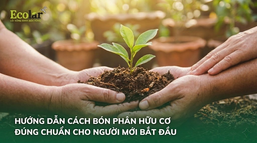 Hướng Dẫn Cách Bón Phân Hữu Cơ Đúng Chuẩn Cho Người Mới Bắt Đầu