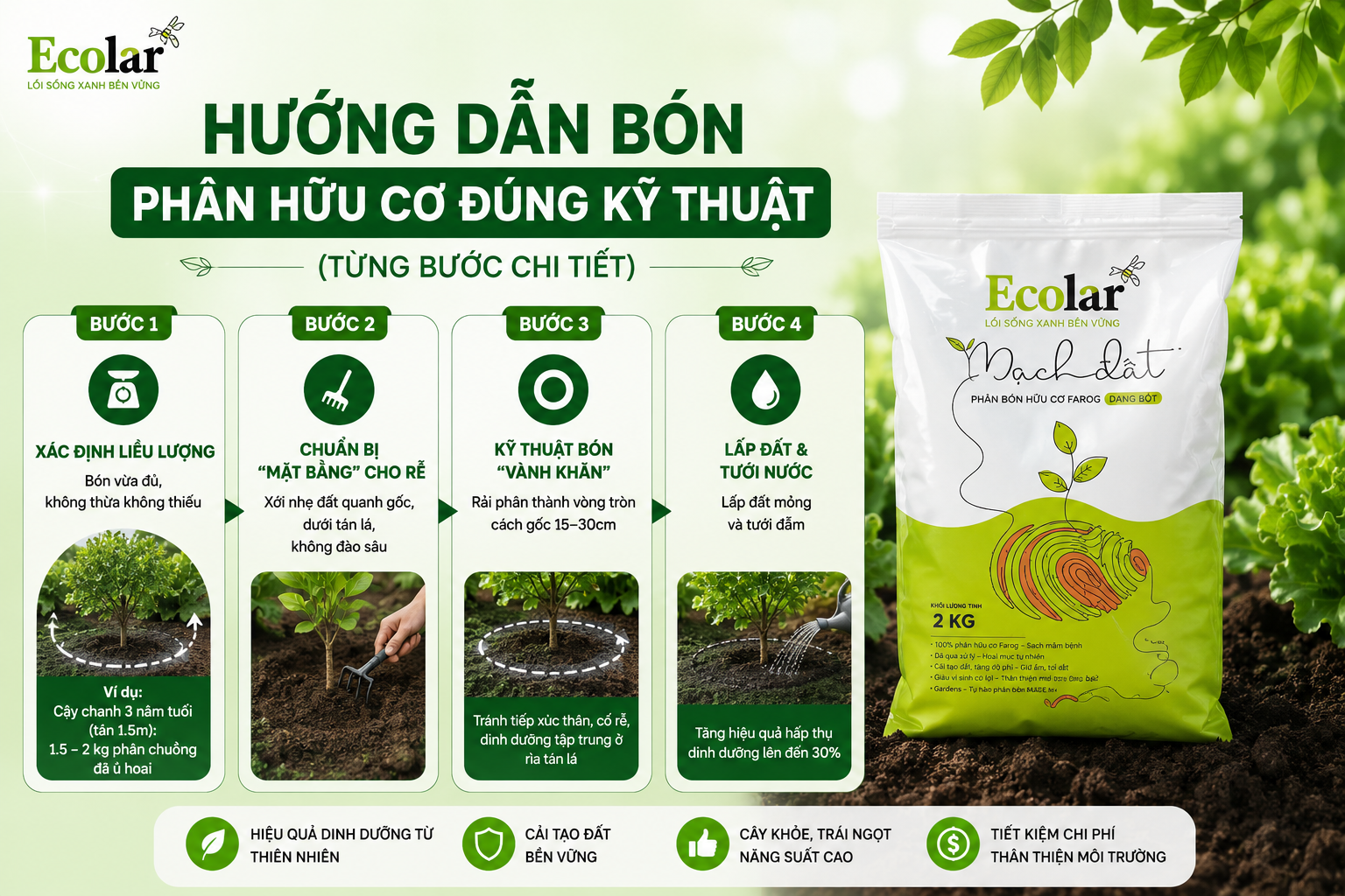 Hướng Dẫn Bón Phân Hữu Cơ Đúng Kỹ Thuật (Từng Bước Chi Tiết)