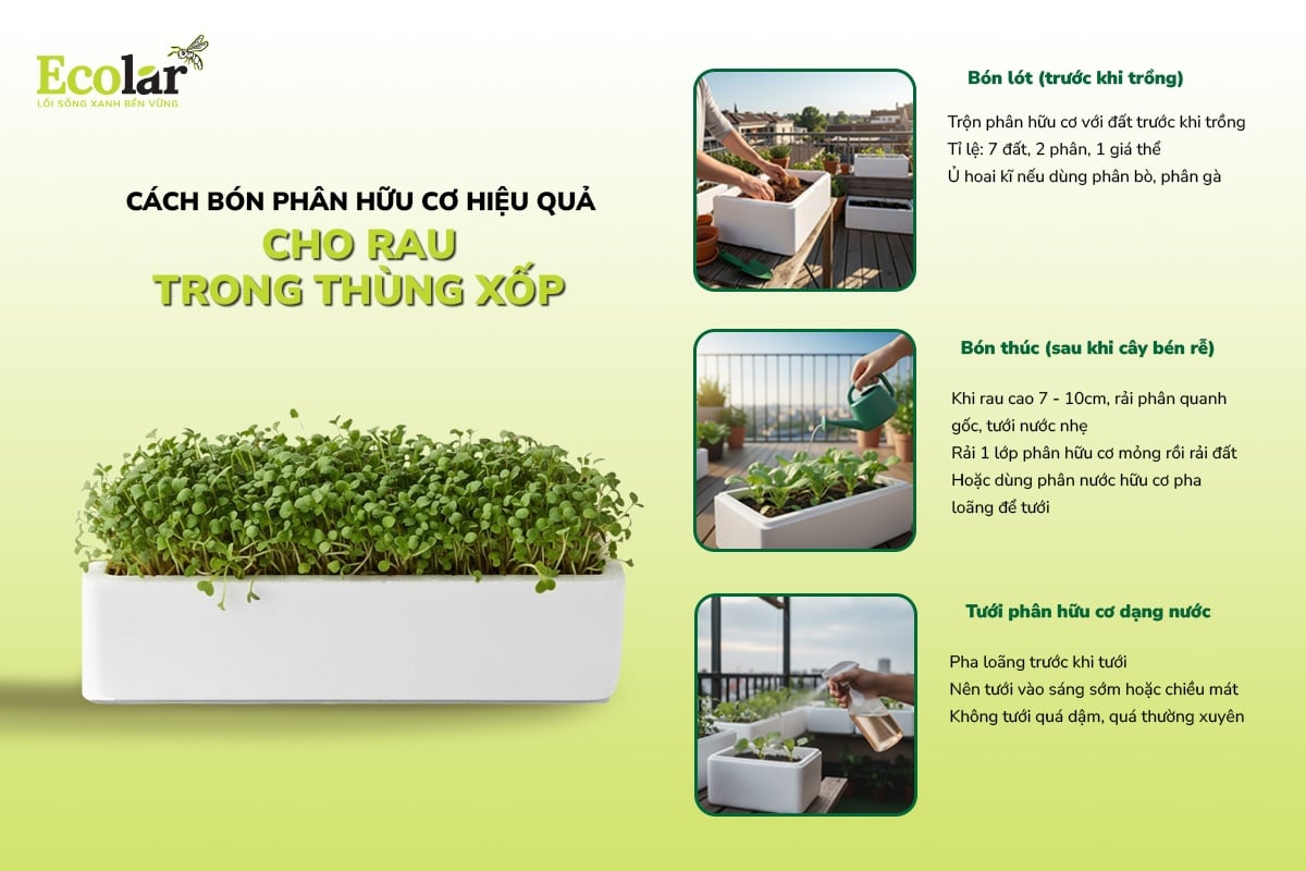 cách bón phân cho cây trồng trong thùng xốp