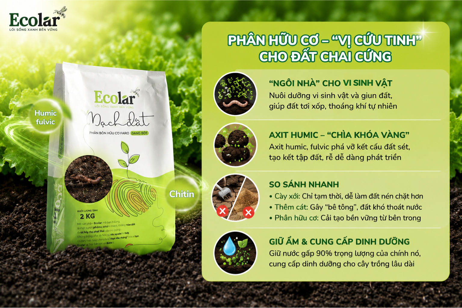 Tại Sao Phân Hữu Cơ Là 'Vị Cứu Tinh' Cho Đất Chai Cứng?