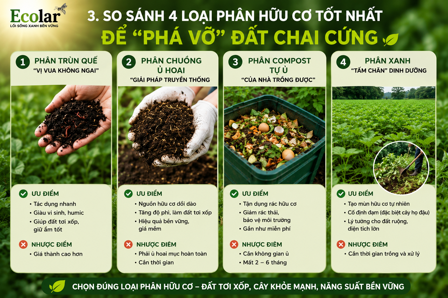 So Sánh 4 Loại Phân Hữu Cơ Tốt Nhất Để 'Phá Vỡ' Đất Chai Cứng