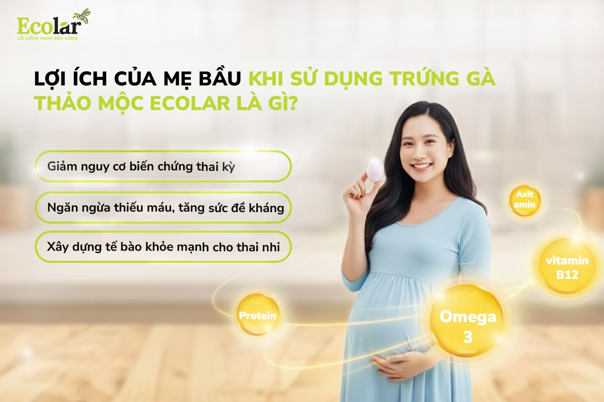 Lợi ích của mẹ bầu khi sử dụng trứng gà thảo mộc Ecolar