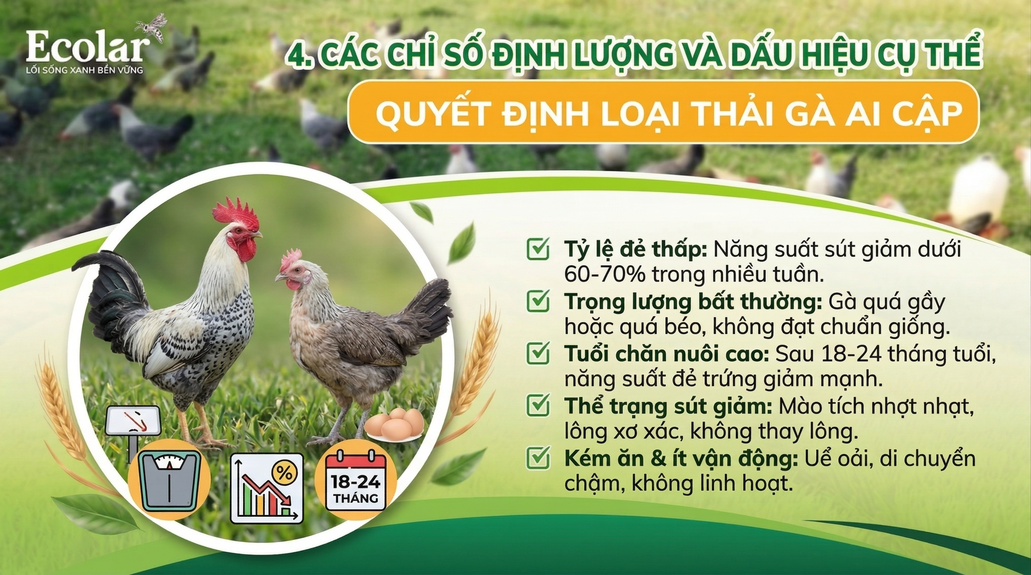u-hieu-cu-the-de-quyet-dinh-loai-thai_9f253fd25e624d02aff7e8d0f20cdfaa.png