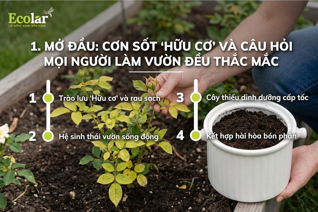 Mở đầu: Cơn sốt 'Hữu cơ' và câu hỏi mọi người làm vườn đều thắc mắc